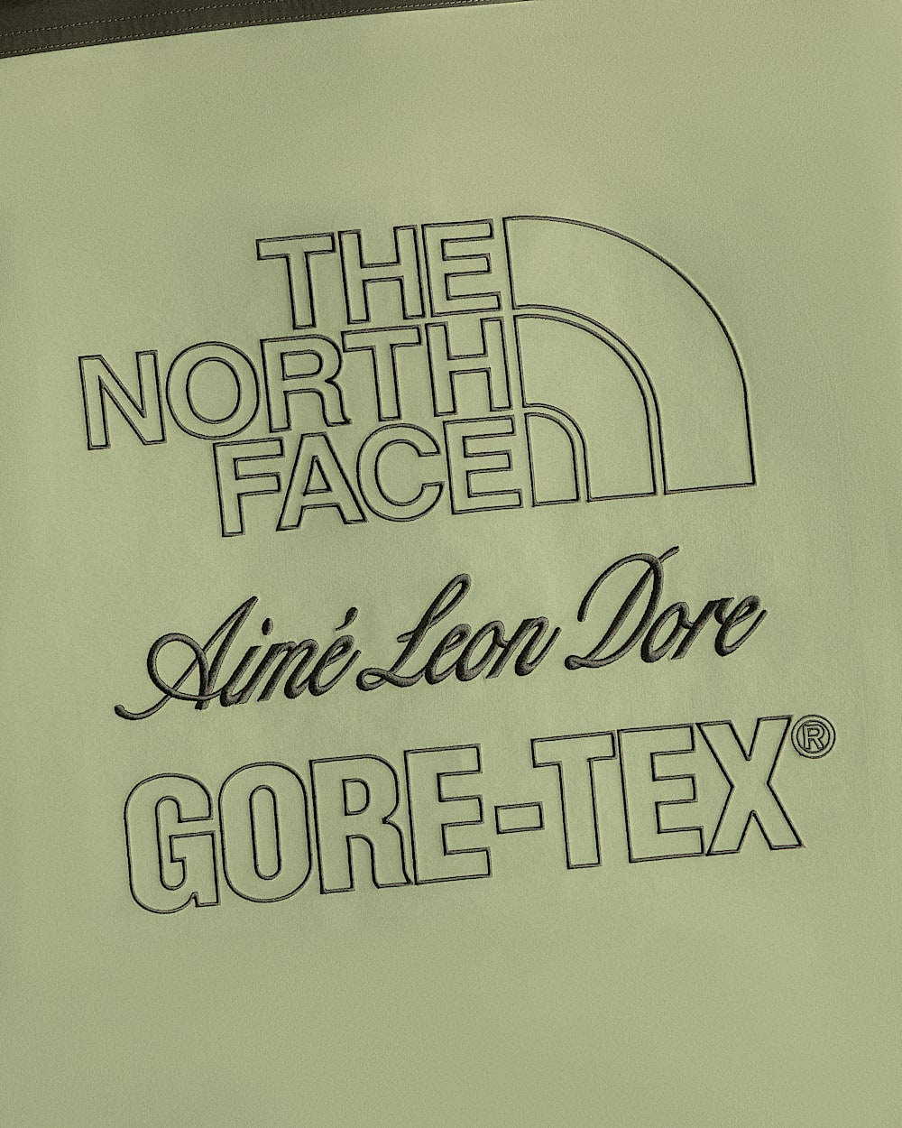 TNF X Aim Leon Dore GORETEX Trench TNF ALT1