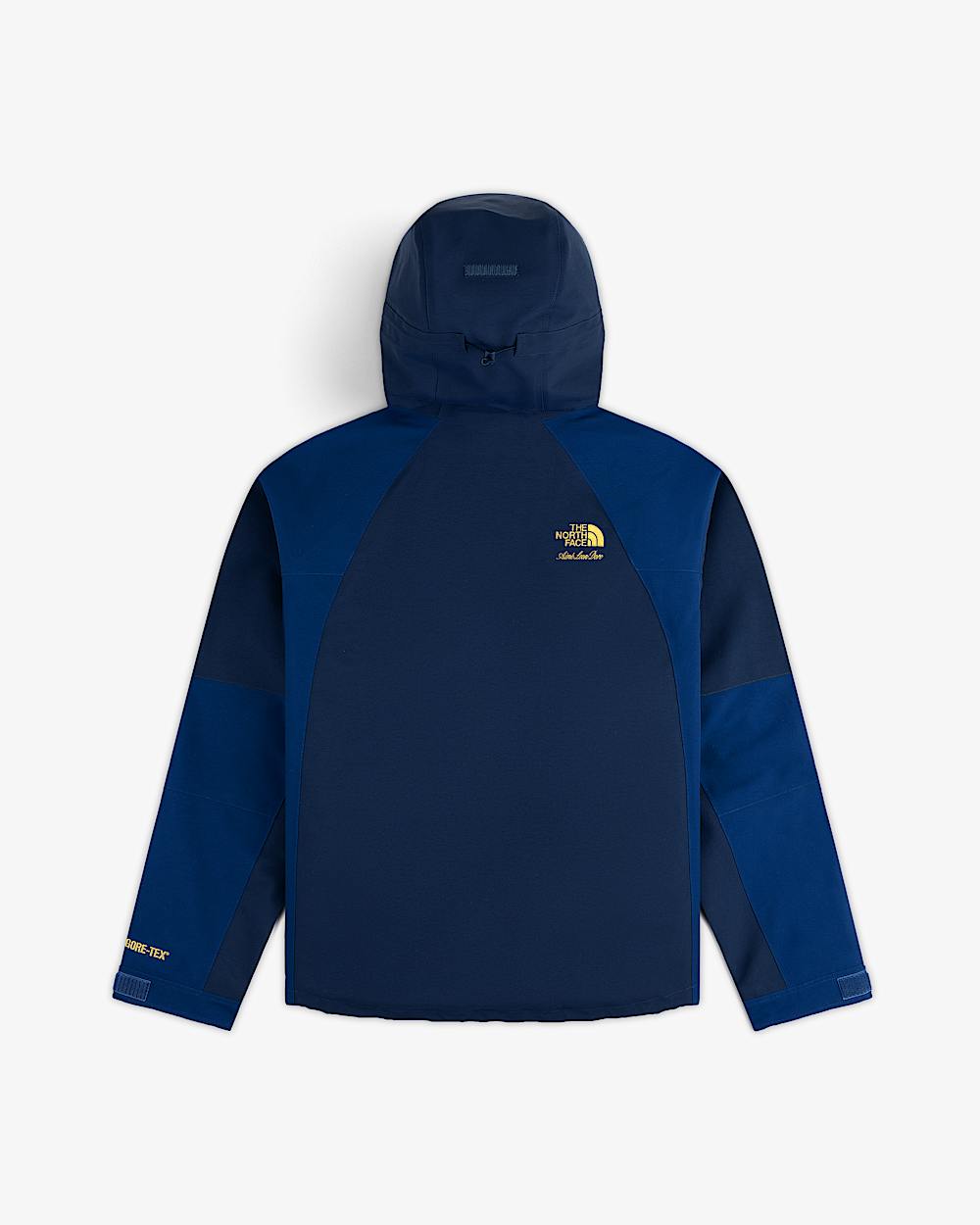 TNF X Aim Leon Dore GORETEX 2000 Mountain Jacket TNF BACK