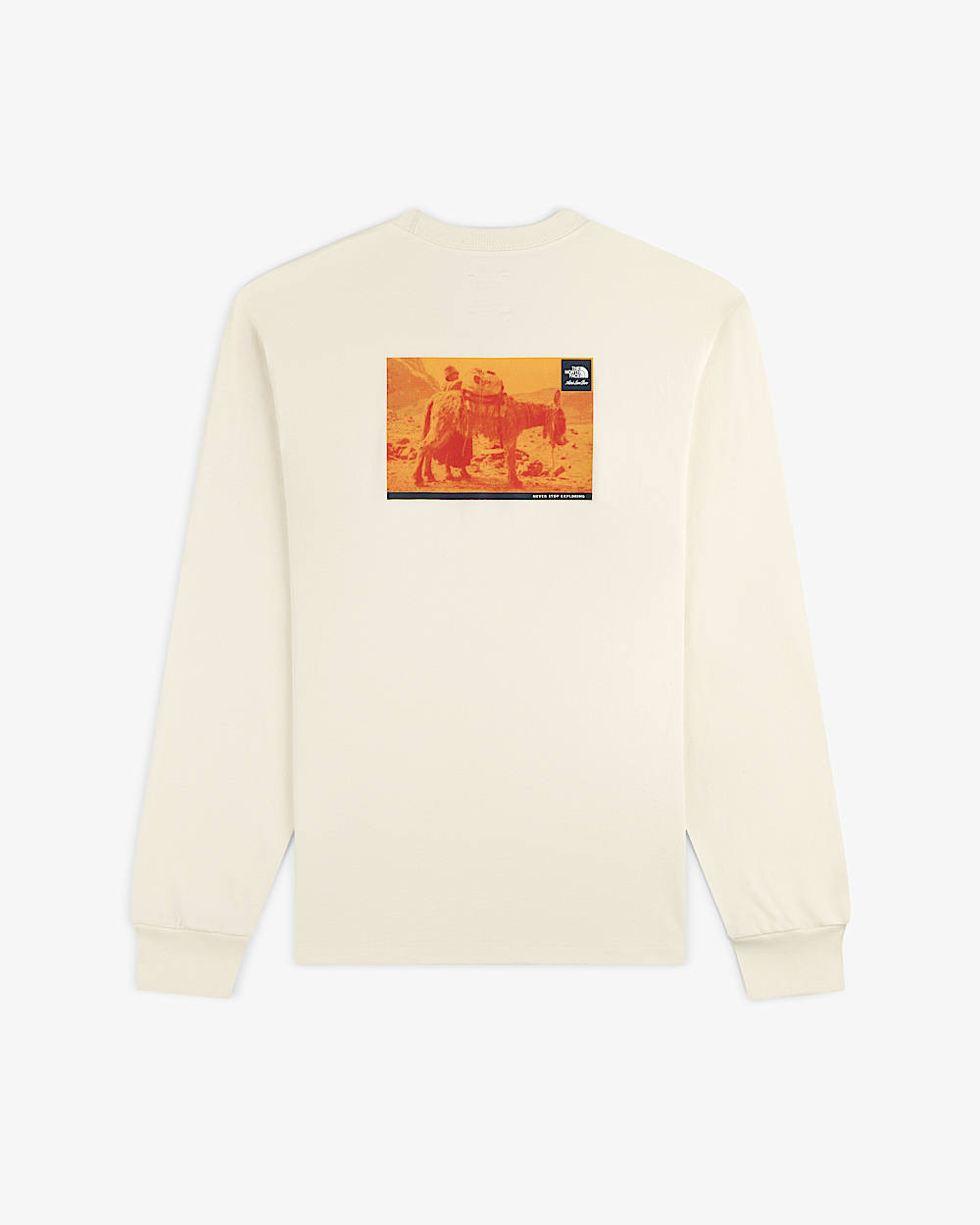 TNF™ X Aimé Leon Dore Long Sleeve Tee | The North Face