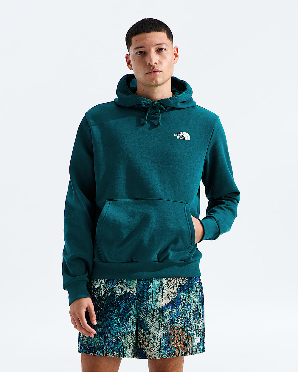 Mens Campfire Regular Hoodie TNF BACK