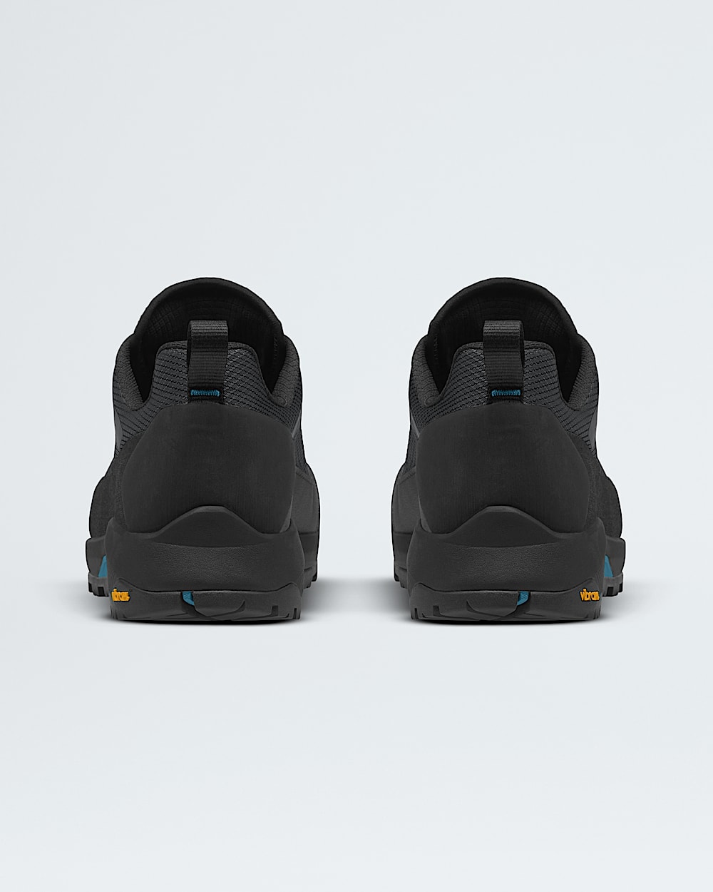 Chaussures Verto Alpine GORETEXMD pour hommes TNF BACK