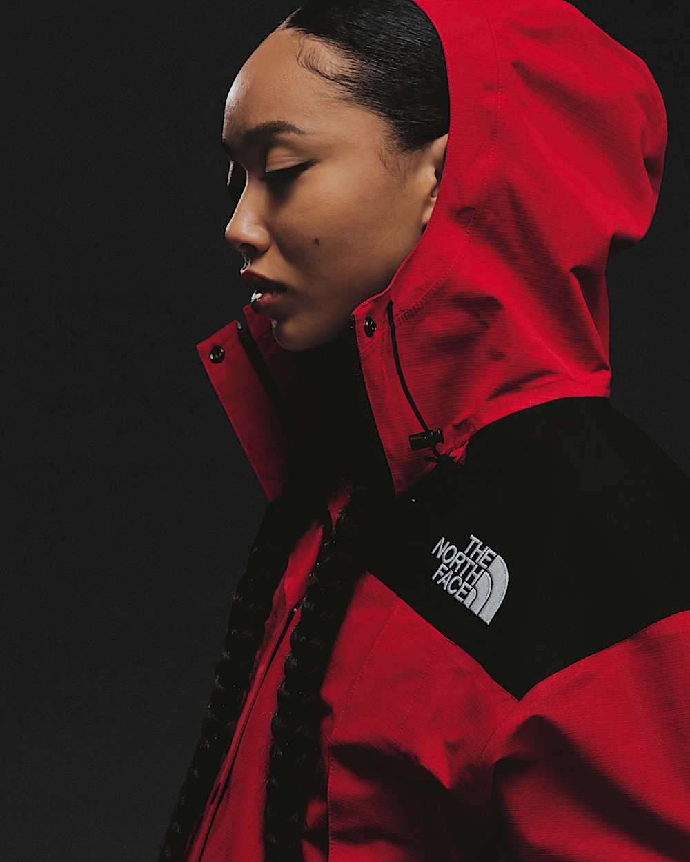 Manteau de montagne Mono DRYVENT pour femmes TNF BACK