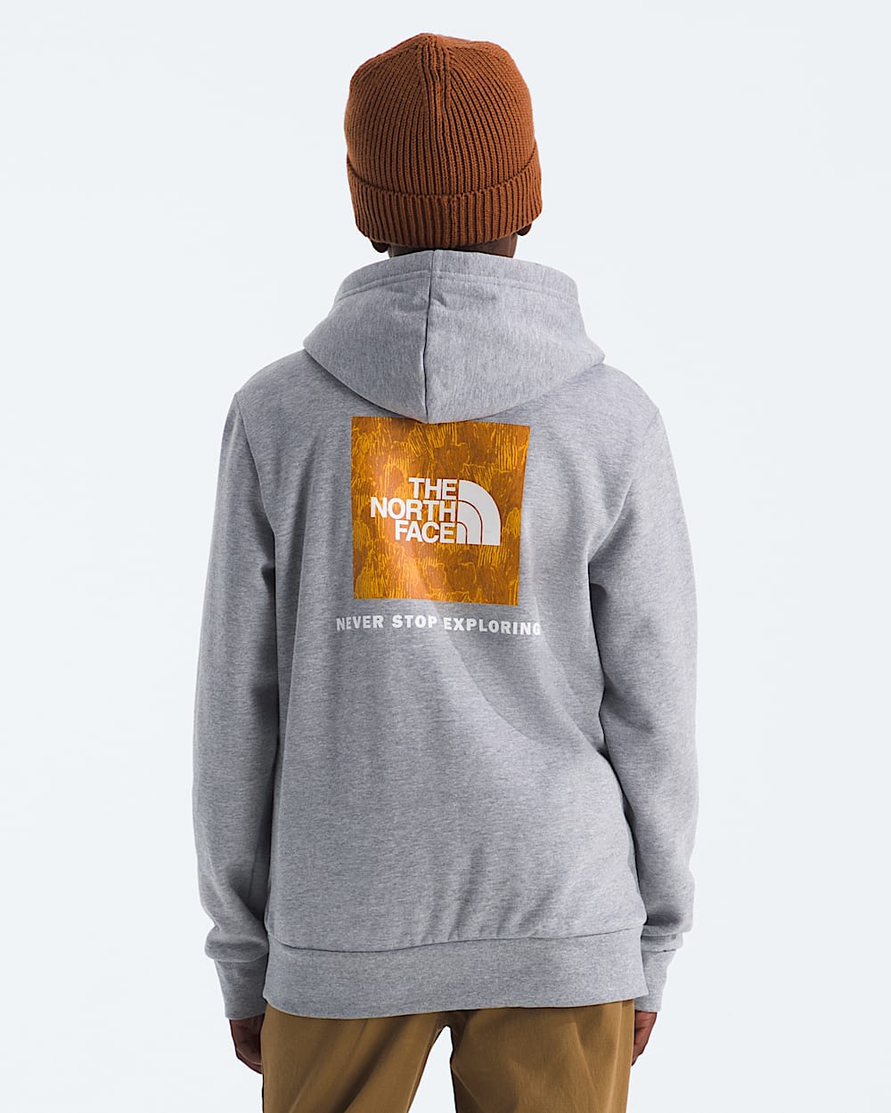 Boys  Girls Evolution Print Box NSE Pullover Hoodie TNF HERO2