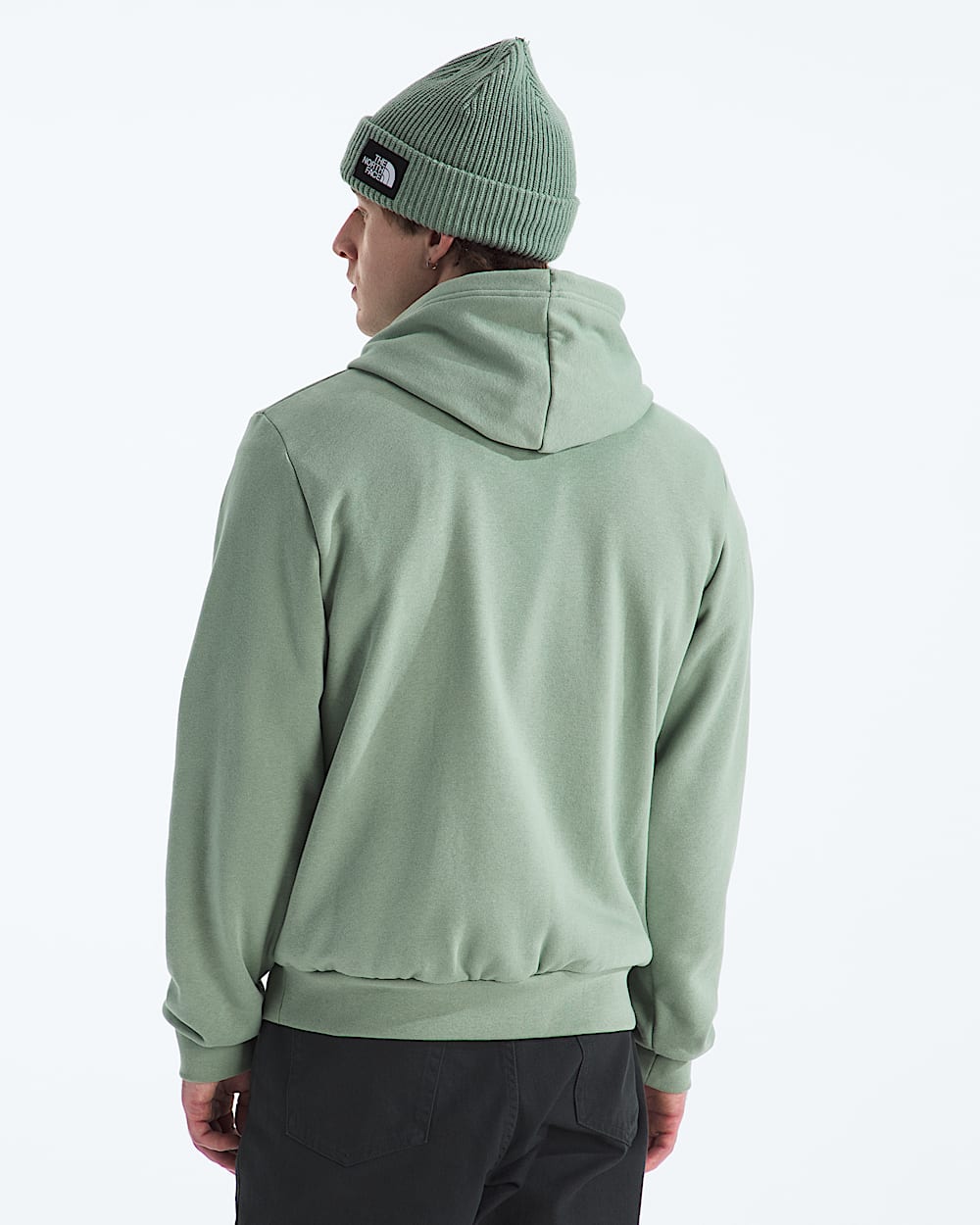 Mens Evolution Simple Dome Regular Hoodie TNF BACK