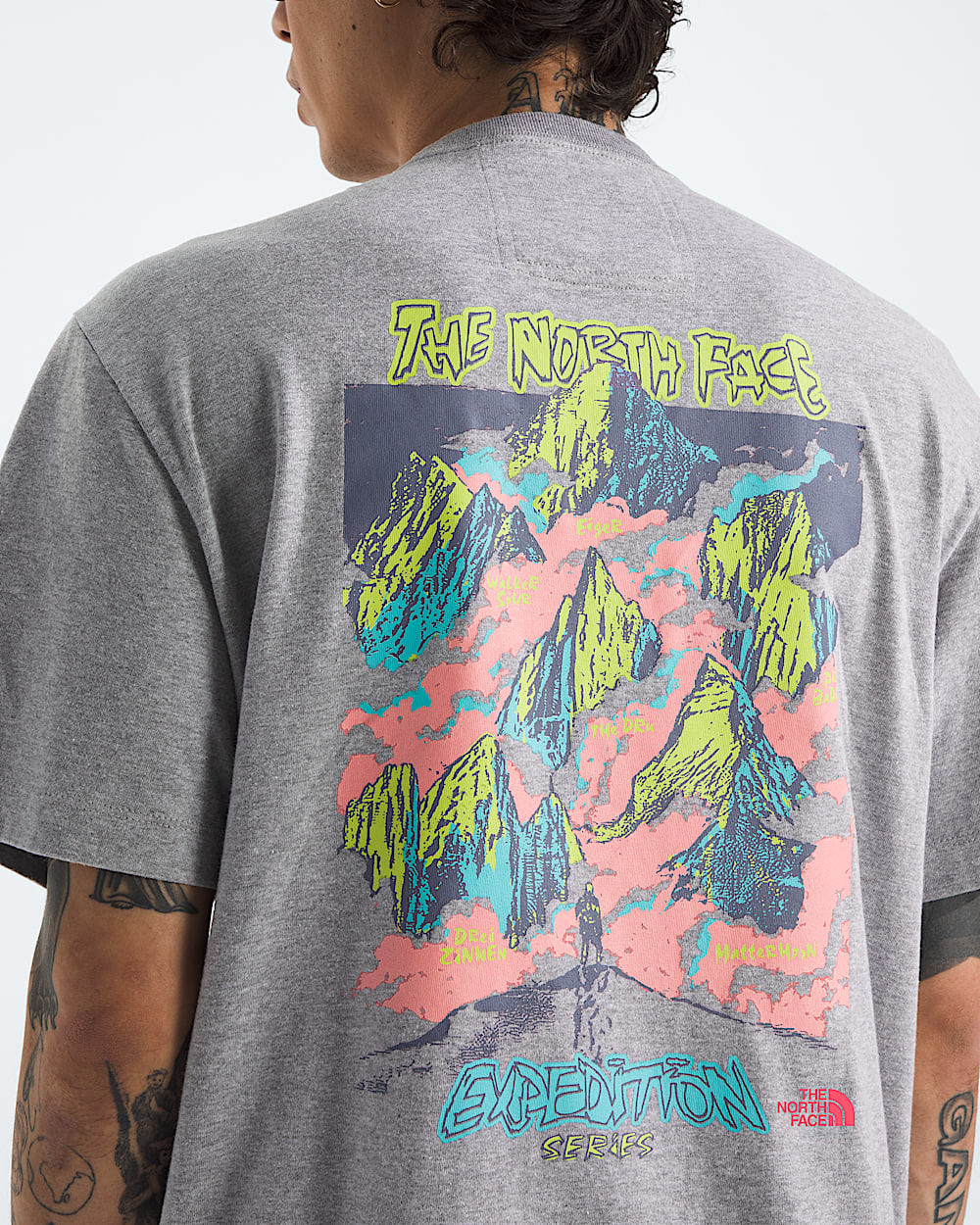 Mens TNF Essential Expedition Series ShortSleeve TeeGraphic TNF HERO2