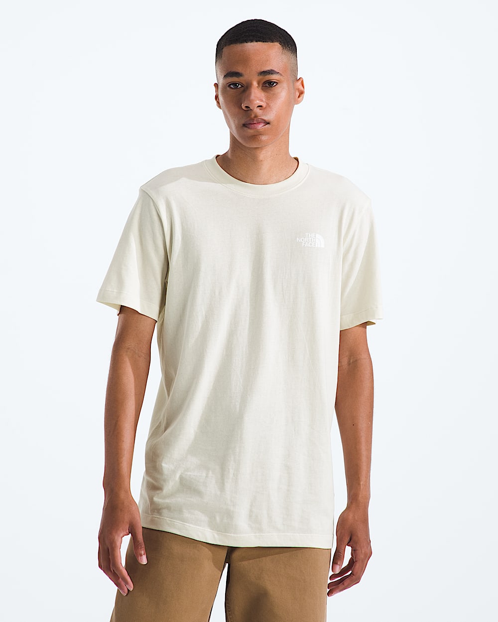 Mens Evolution Sun Halos Box NSE ShortSleeve TeeGraphic TNF BACK