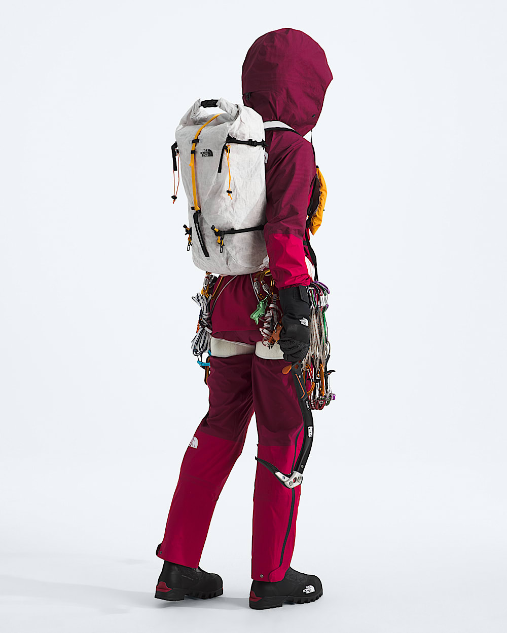 Summit Series Advanced Mountain Kit 25L Pack TNF ALT1