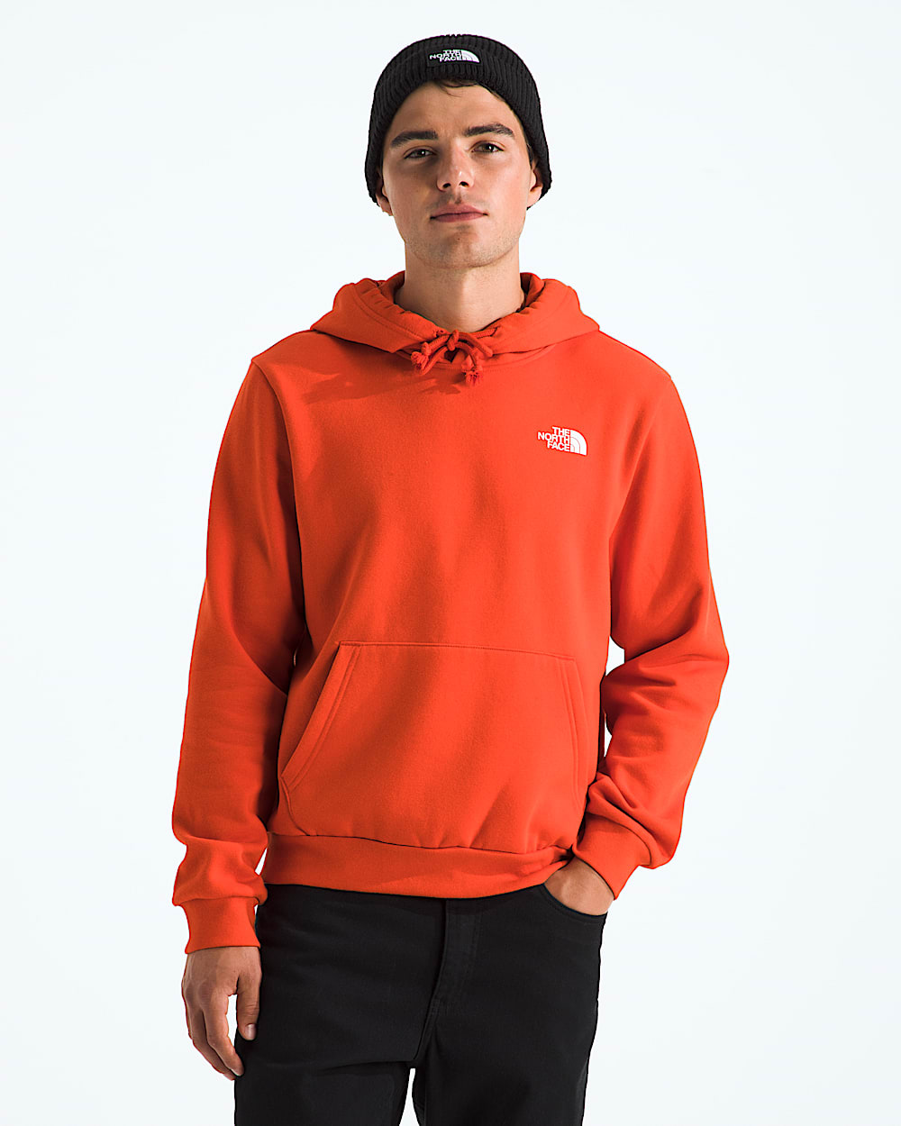 Mens Evolution Box NSE Regular Hoodie TNF BACK