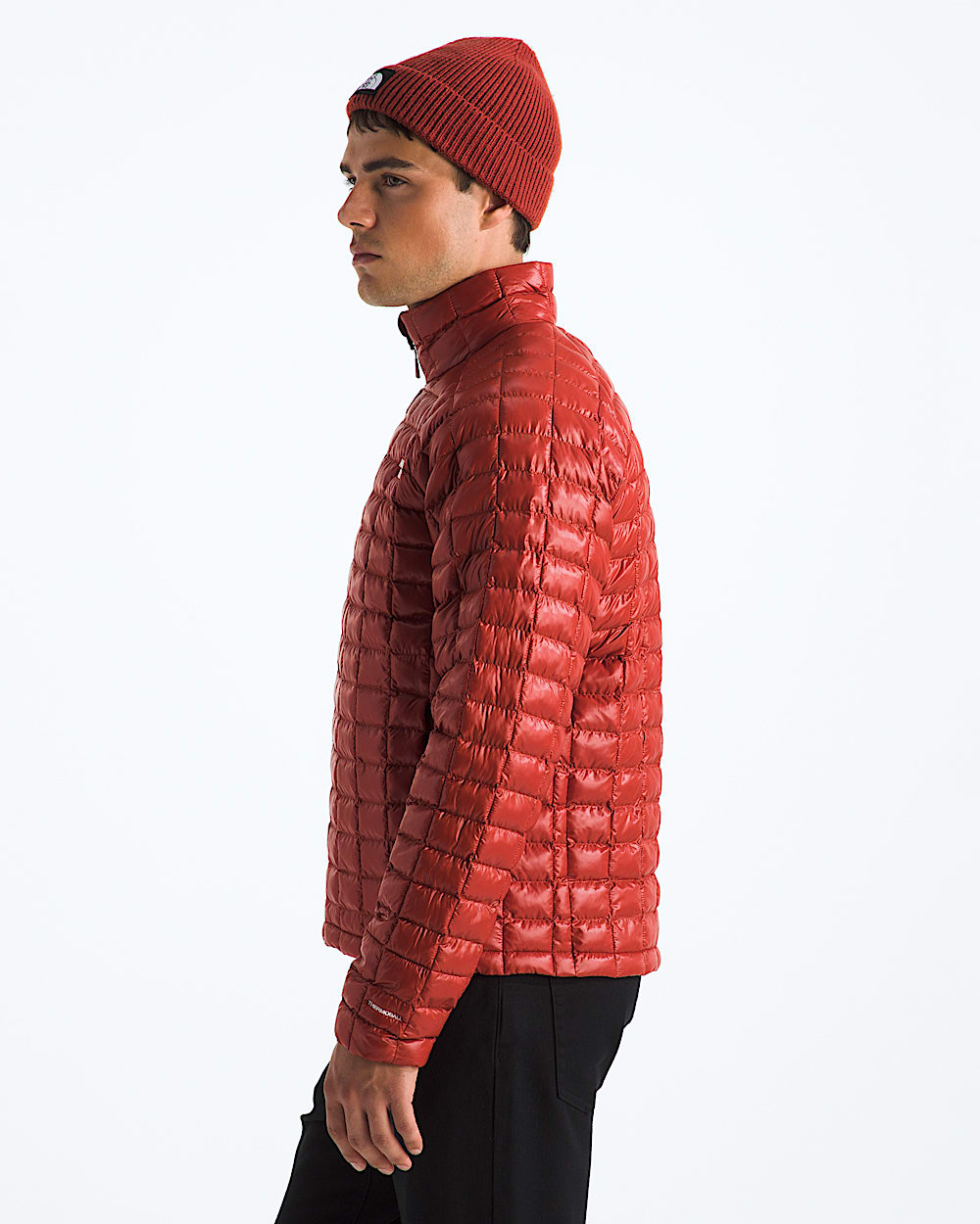 Manteau THERMOBALL pour hommes TNF MODEL34