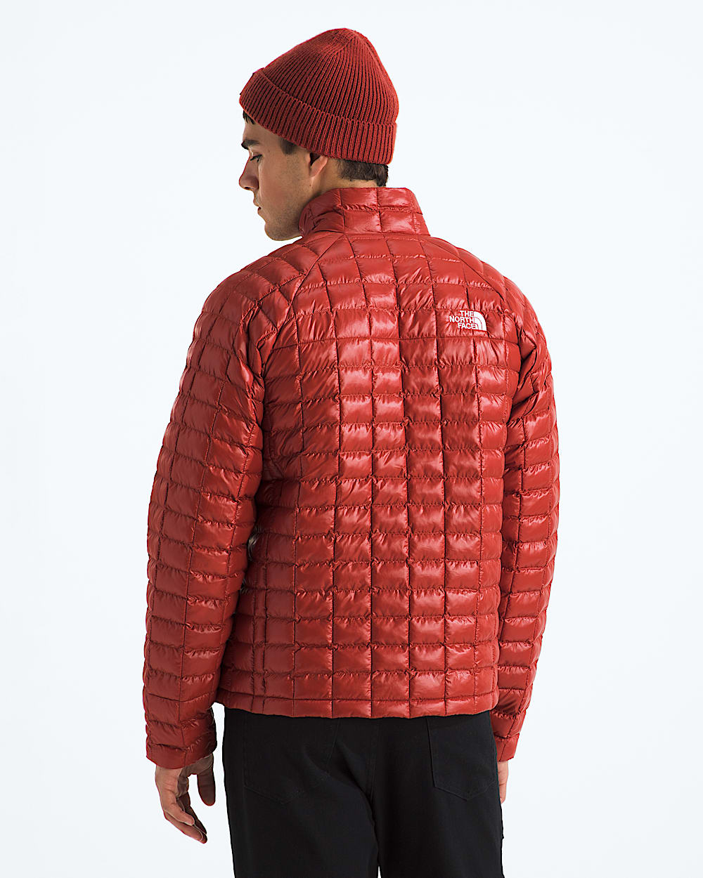 Manteau THERMOBALL pour hommes TNF BACK