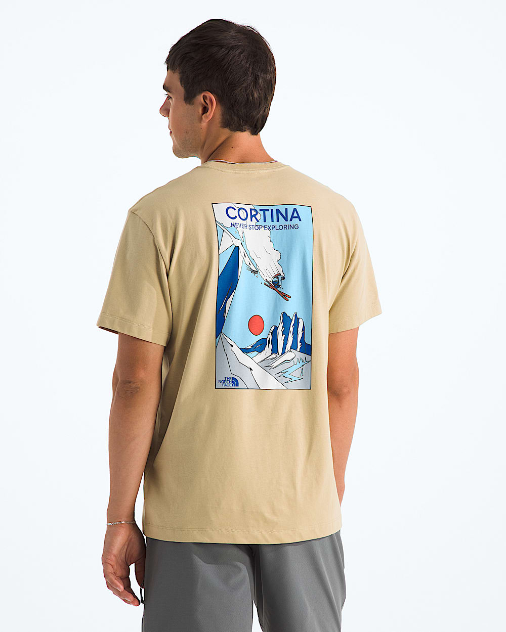 Mens Mountain Celebration Regular ShortSleeve TeeGraphic TNF Main