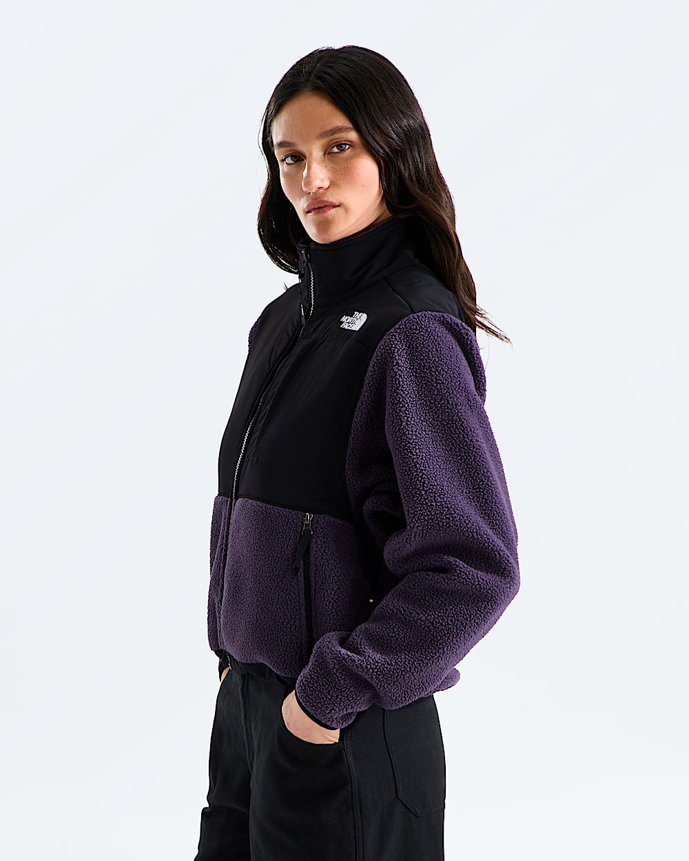 Veste Retro Denali pour femmes TNF MODEL34
