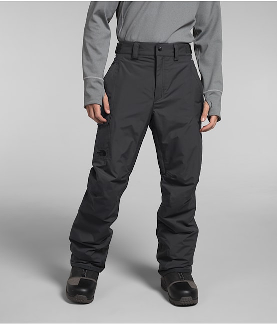 North face mens waterproof trousers online