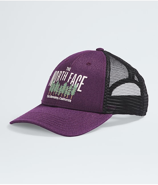 The north face trucker hats sales
