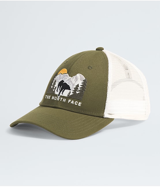 North face men's baseball caps top