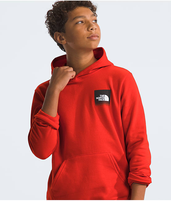 hoodies under 50 The North Face