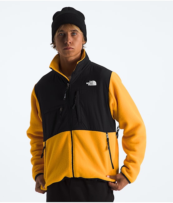 North face men's fleece pullover on sale