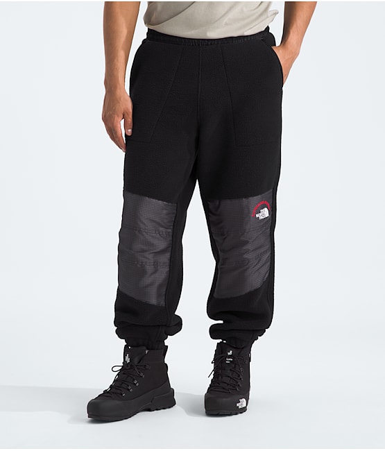 The north face men's fleece pants on sale