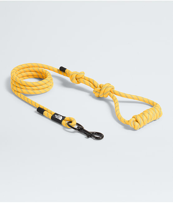 The north face pet top