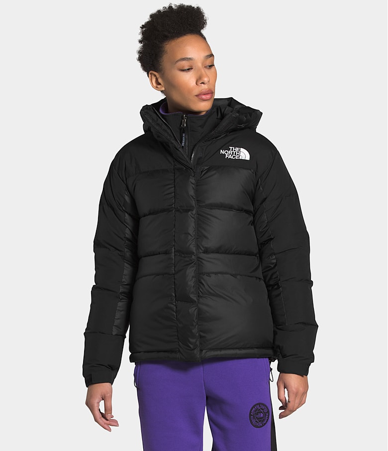 The north face women's down parkas hot sale