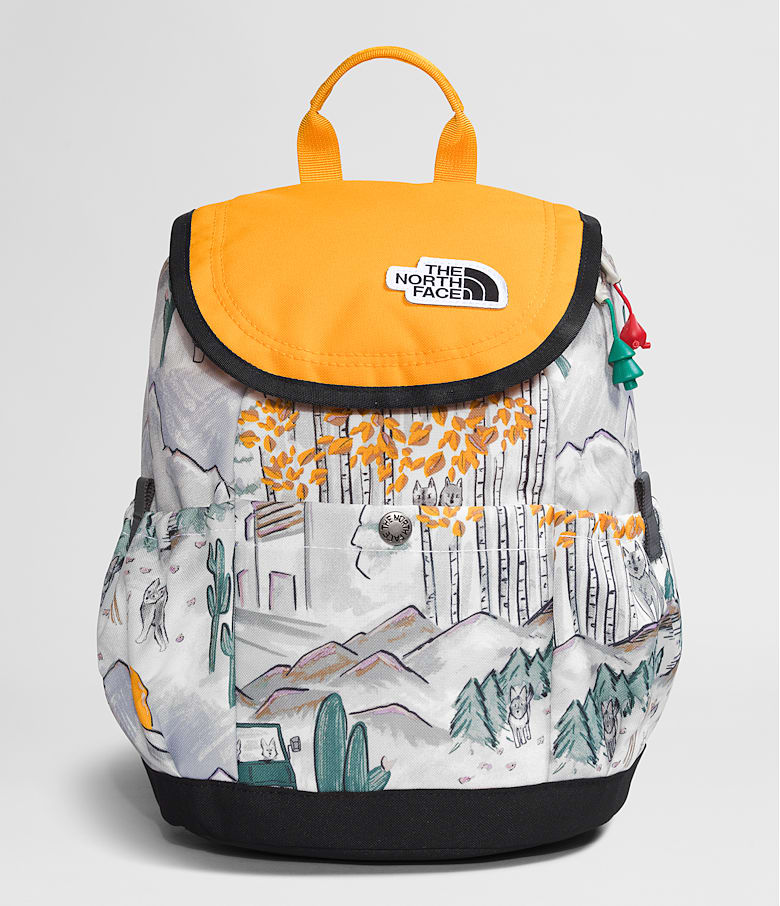 North face small backpack shop
