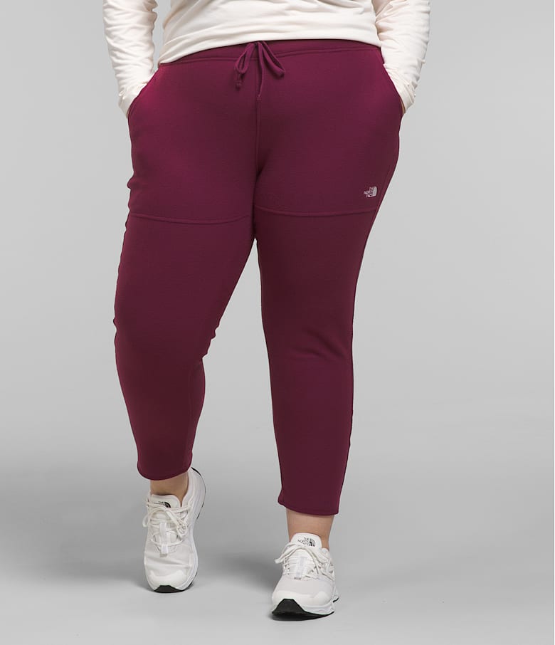 Polartec 100 fleece pants sales