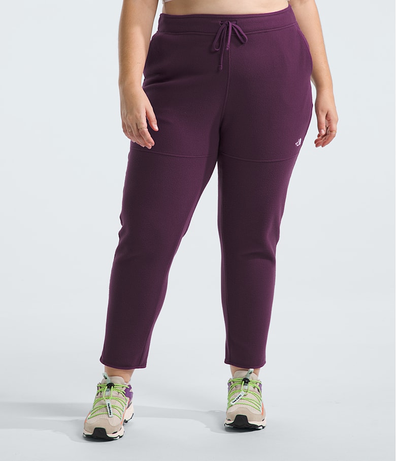 Women s Plus Alpine Polartec 100 Pants The North Face Canada