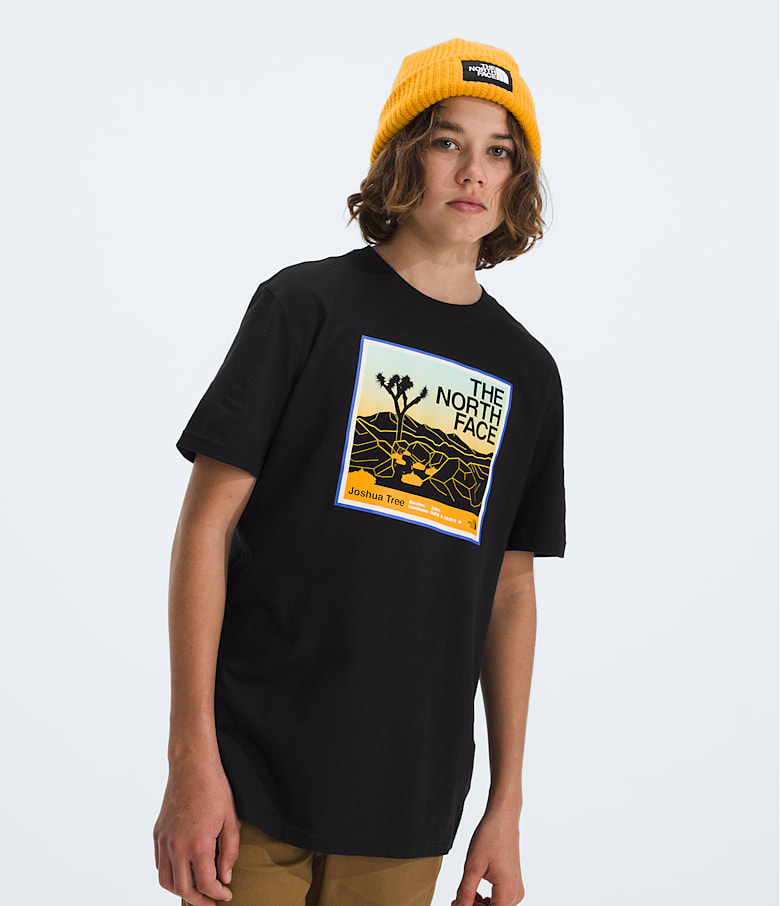 North face graphic tee deals