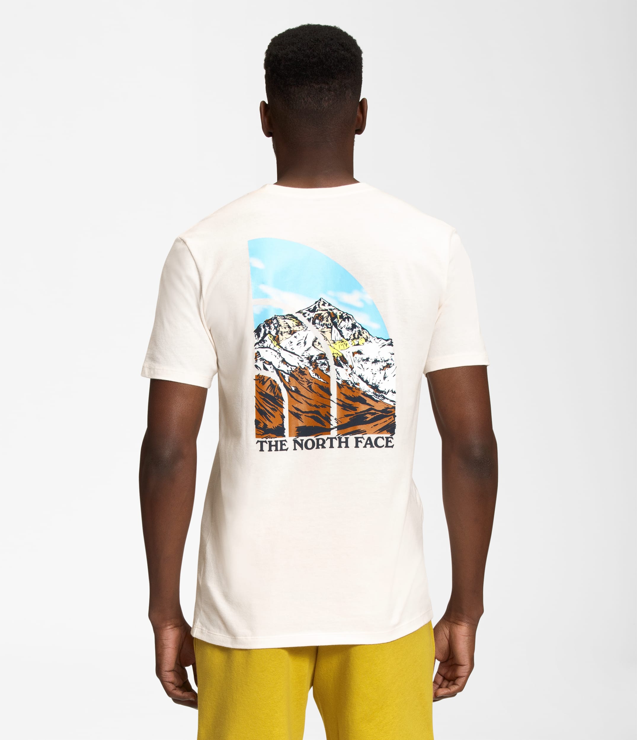 Mens ShortSleeve Graphic Injection Tee TNF Main