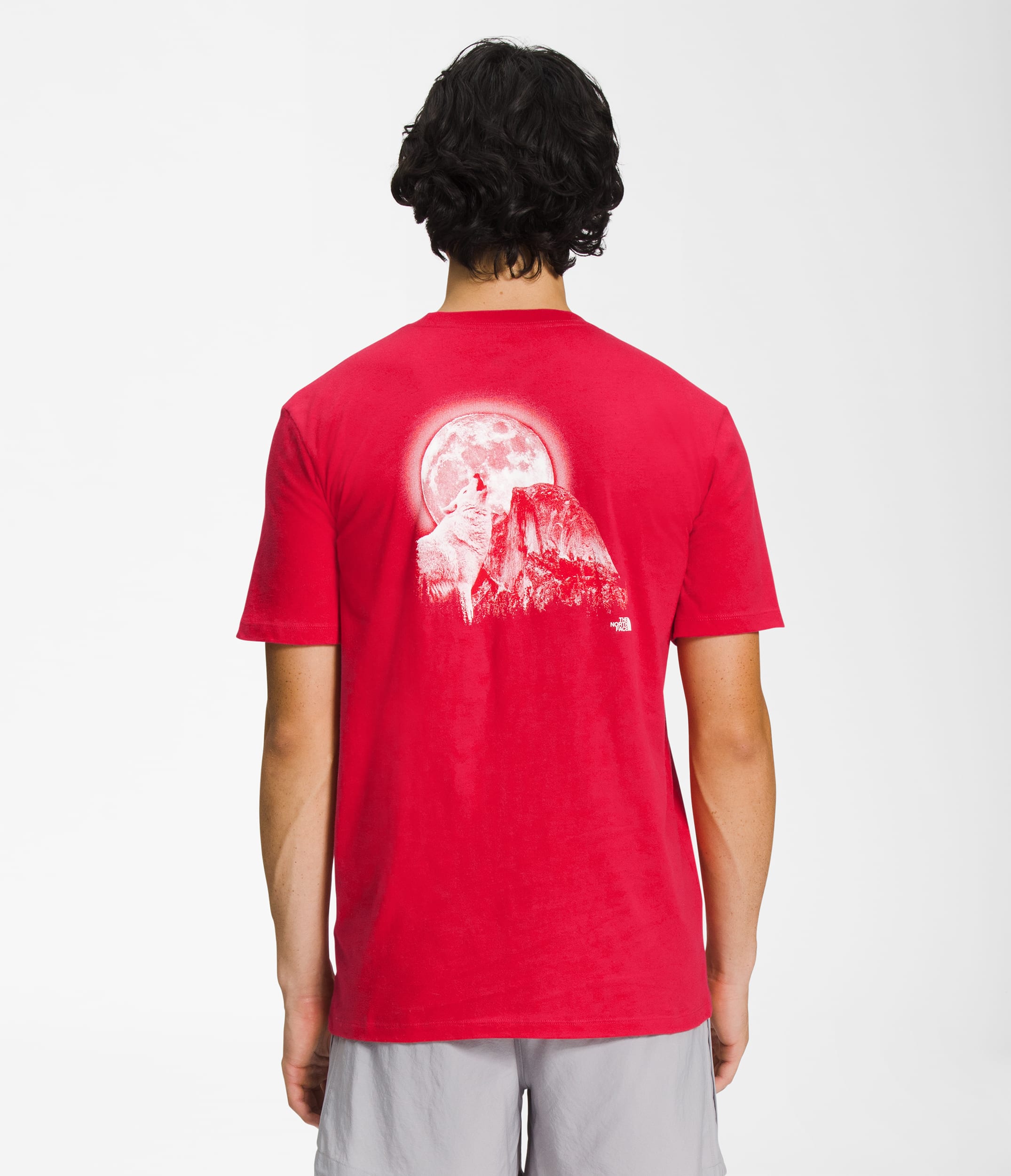 Mens ShortSleeve Americana Tee TNF HERO