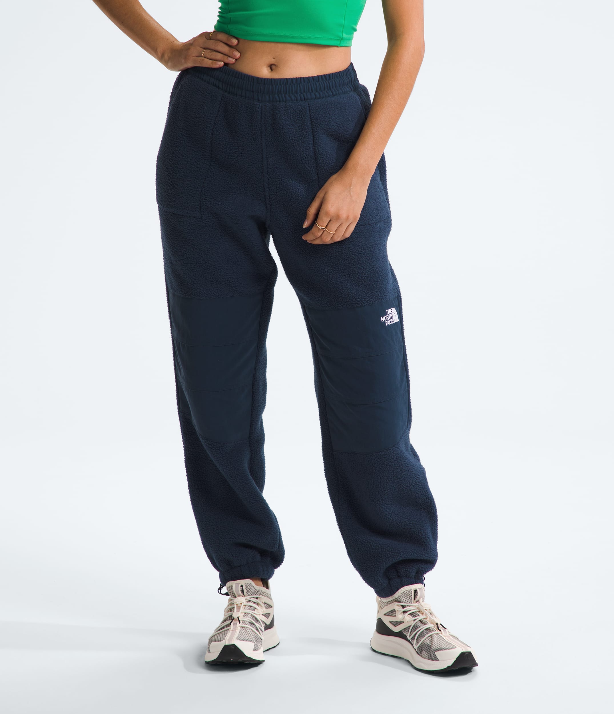 Women's Ripstop Denali Pants | The North Face