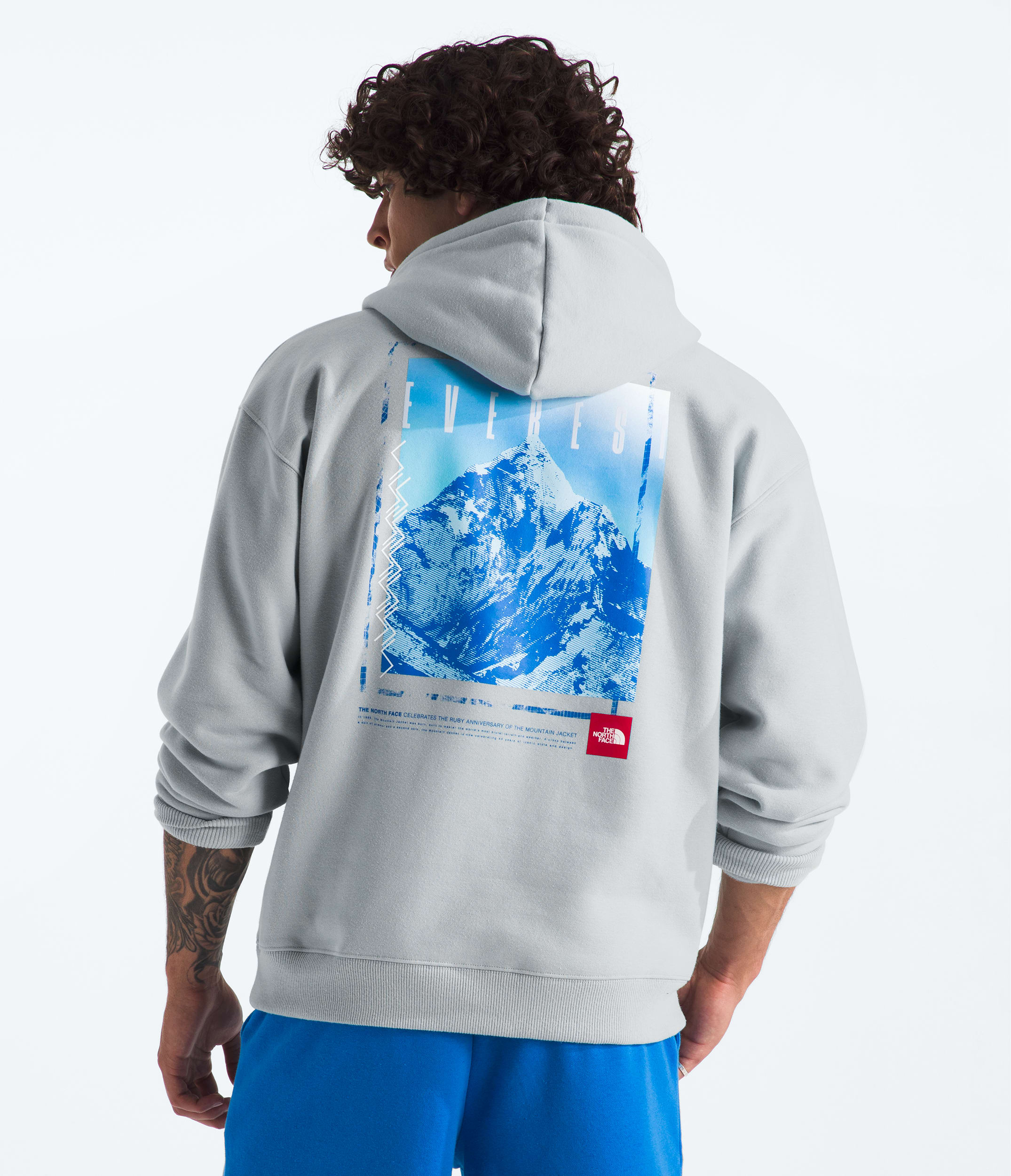 Men's TNF Red Box Everest Heavyweight Hoodie The North Face