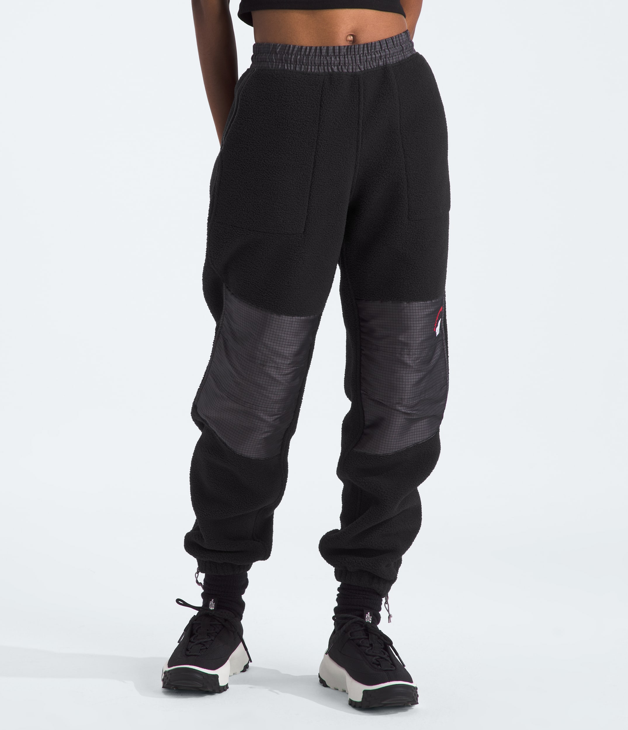 Womens Retro Denali Pants TNF Main