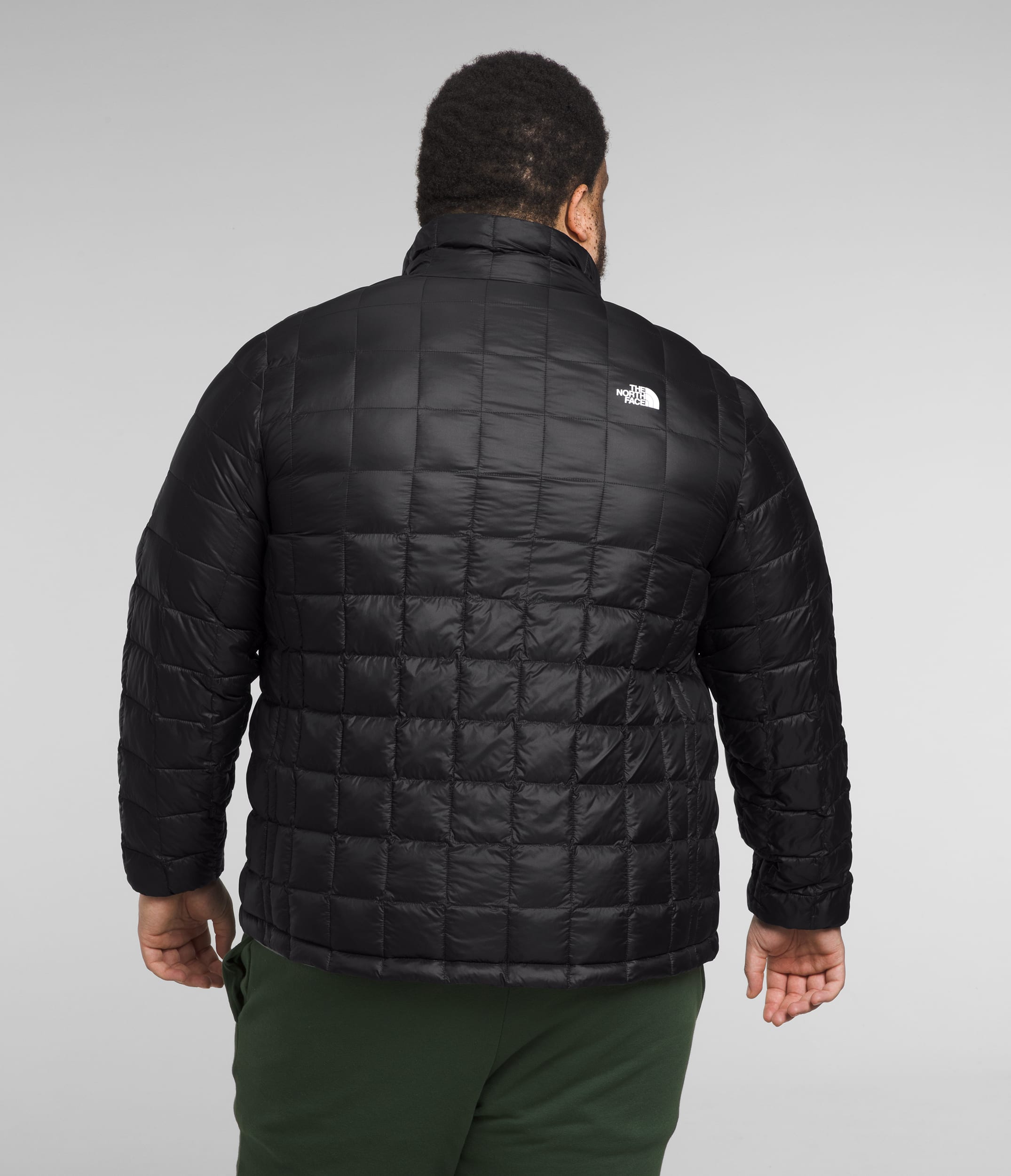 Mens Big ThermoBall Jacket 20 TNF BACK