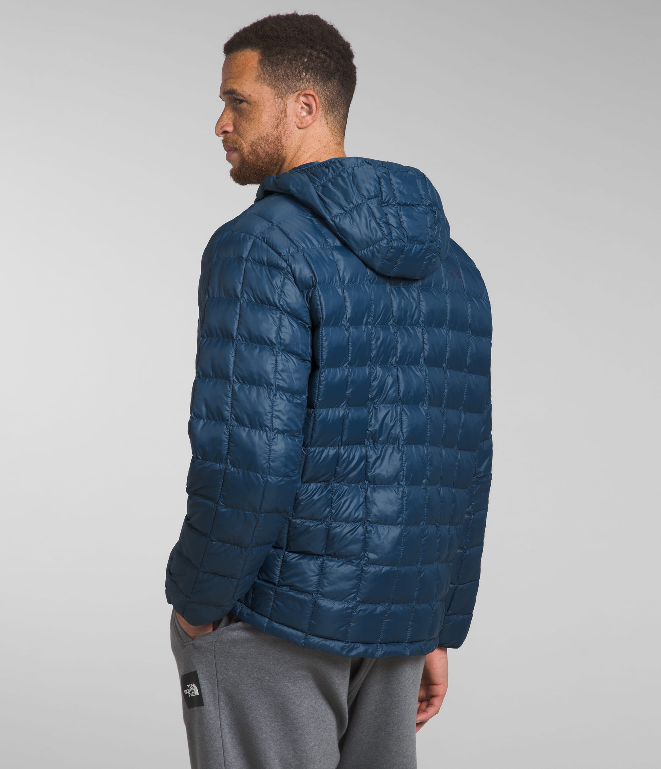 Grand chandail  capuchon ThermoBall Eco 20 pour hommes TNF BACK