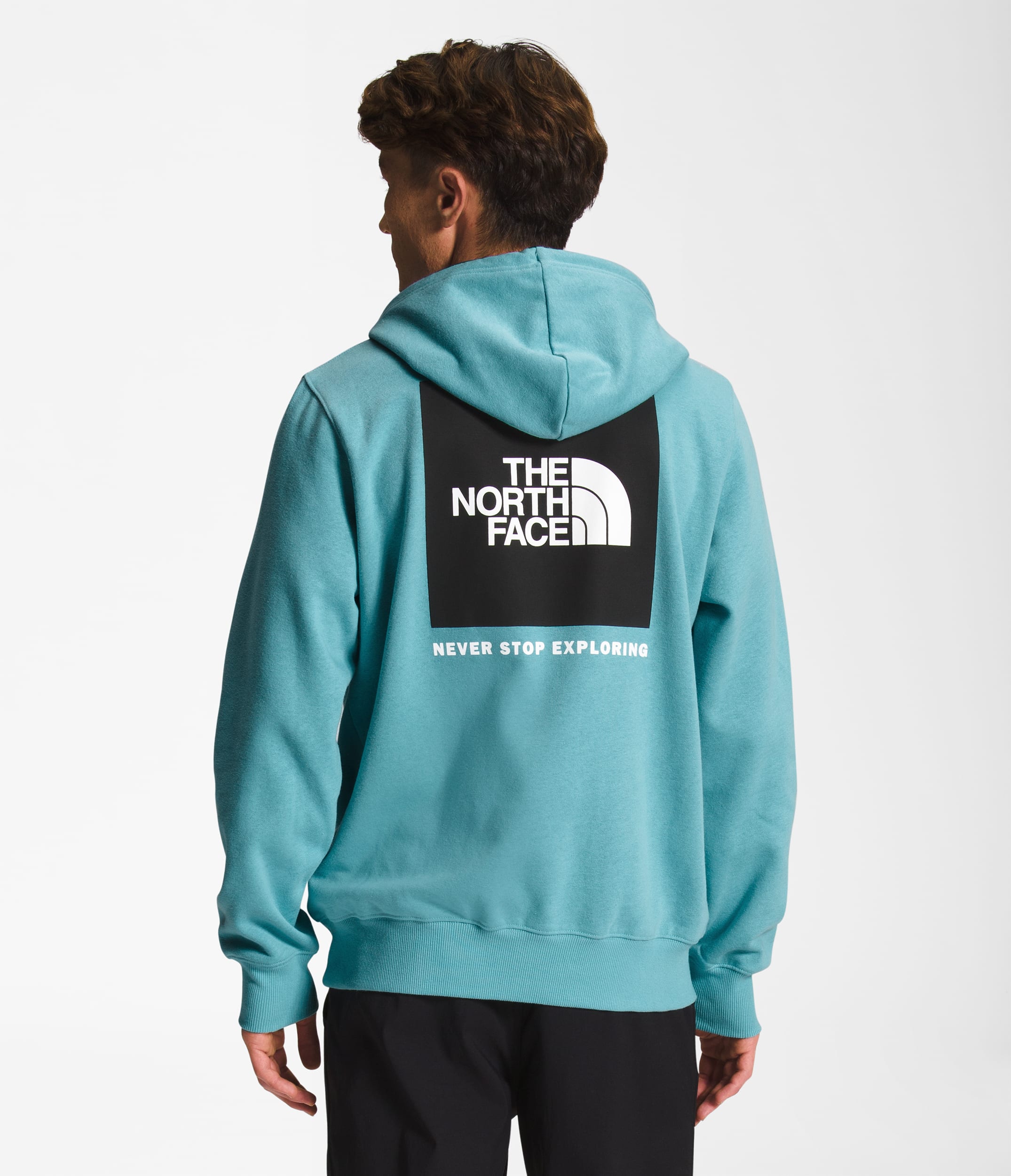 Mens Box NSE Pullover Hoodie TNF BACK