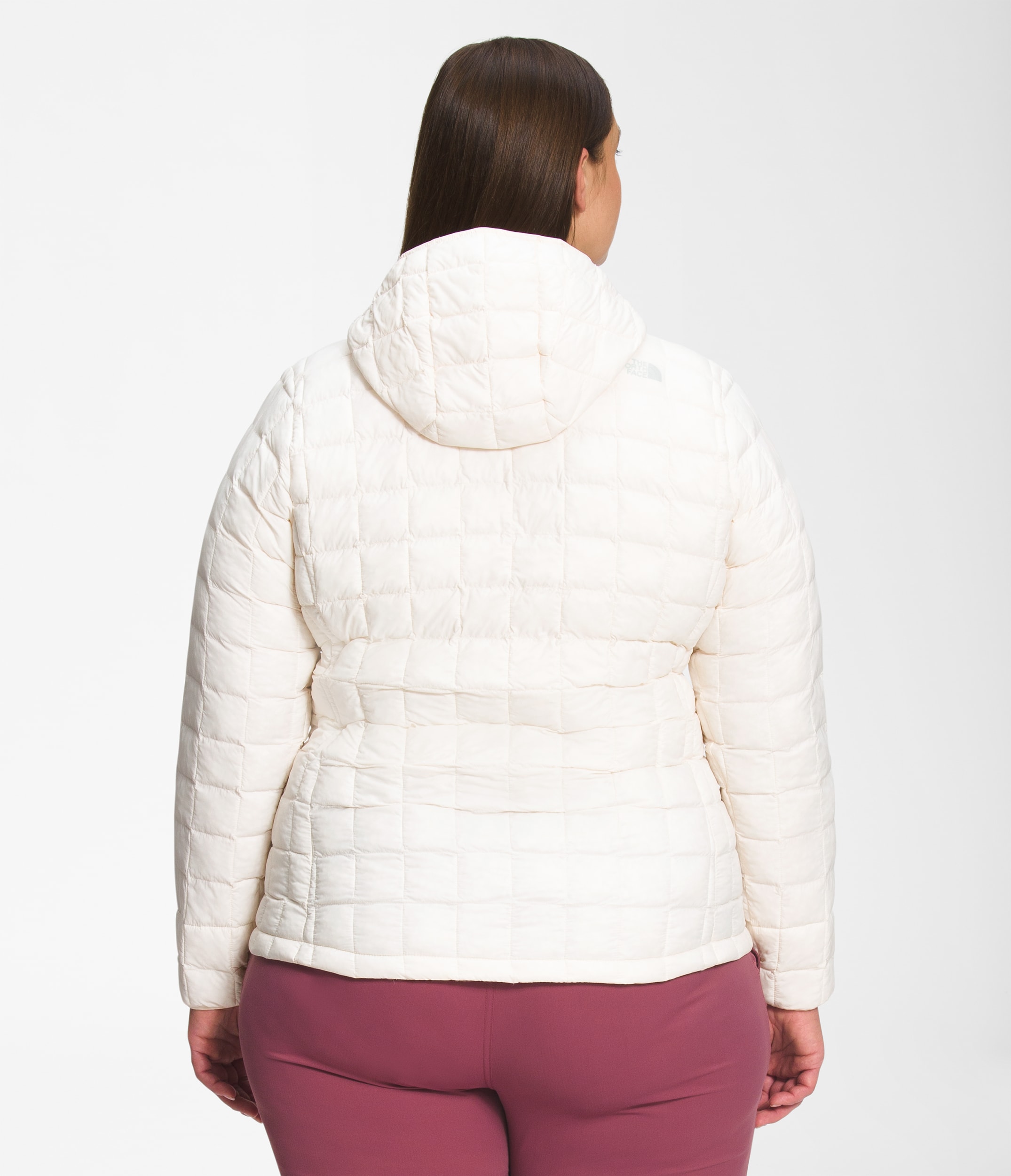 Womens Plus ThermoBall Hoodie 20 TNF BACK