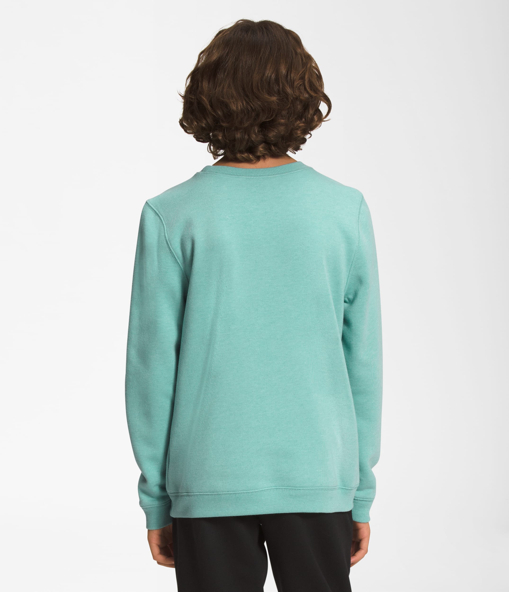 Boys  Girls Heritage Patch Crew TNF BACK