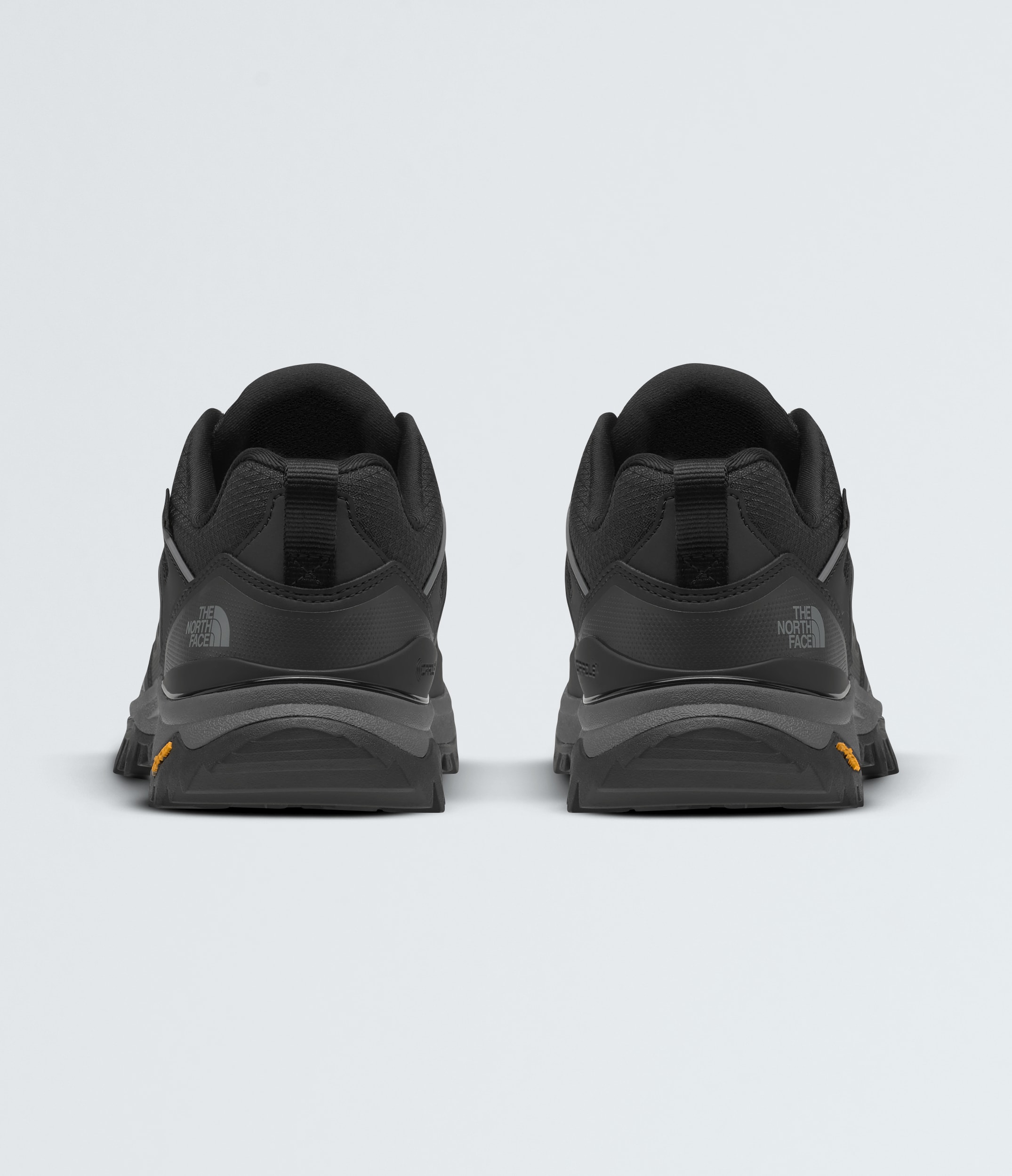 Womens Hedgehog GORETEX Shoes TNF BACK