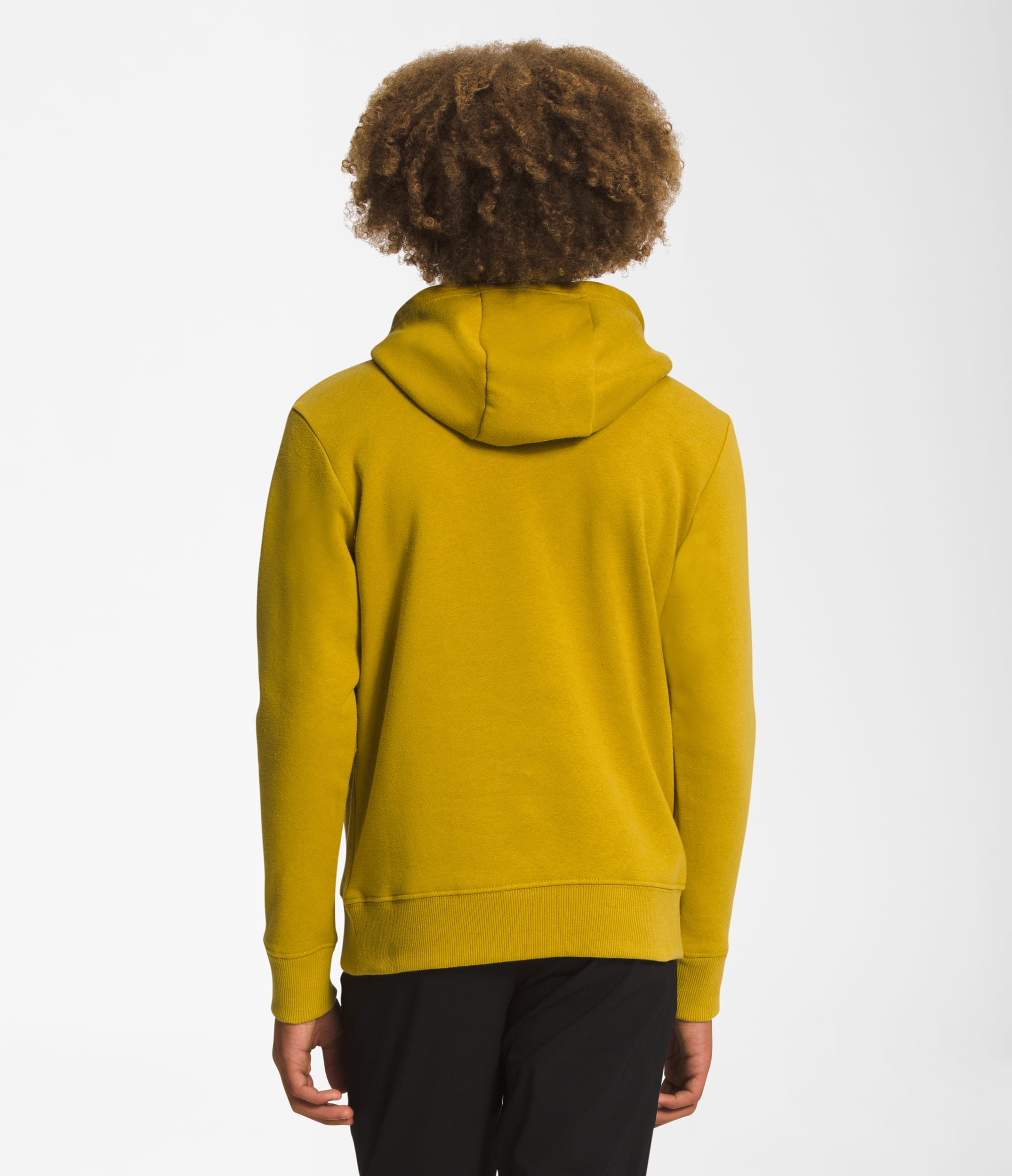 Boys Camp Fleece Pullover Hoodie TNF BACK
