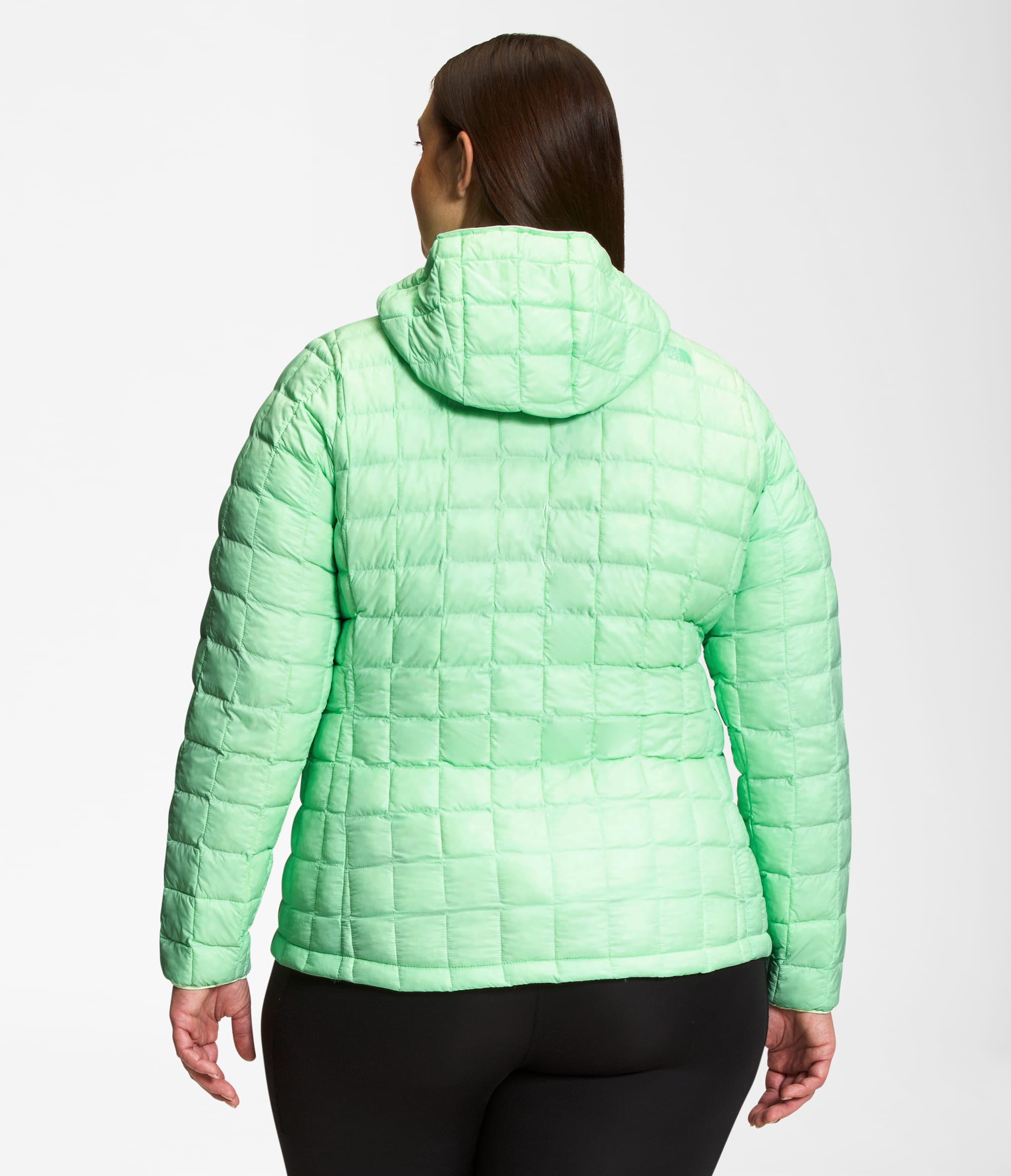 Womens Plus ThermoBall Hoodie 20 TNF BACK