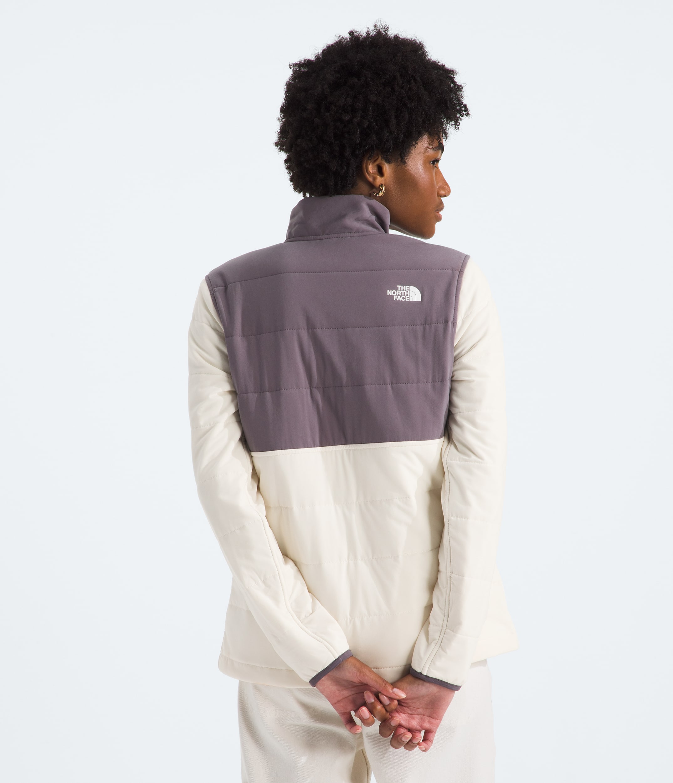 Womens Mountain Sweatshirt Pullover TNF BACK