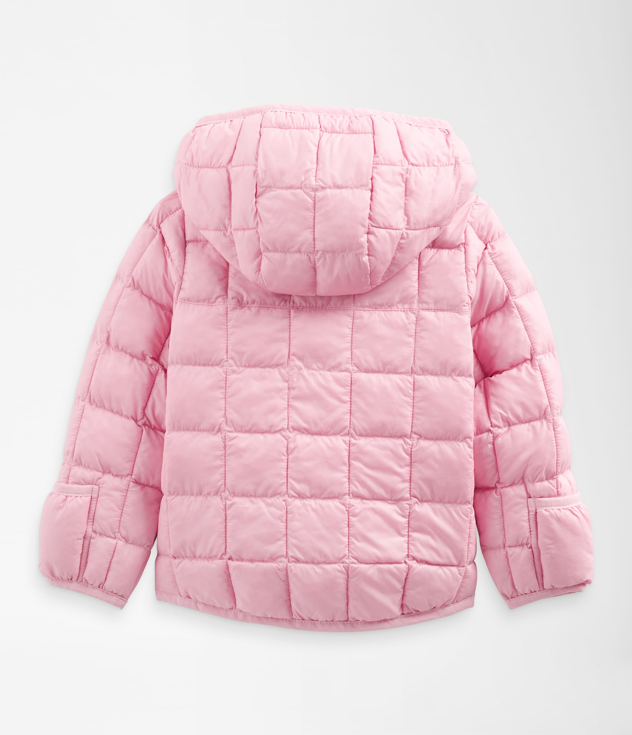Baby ThermoBall Hooded Jacket TNF BACK