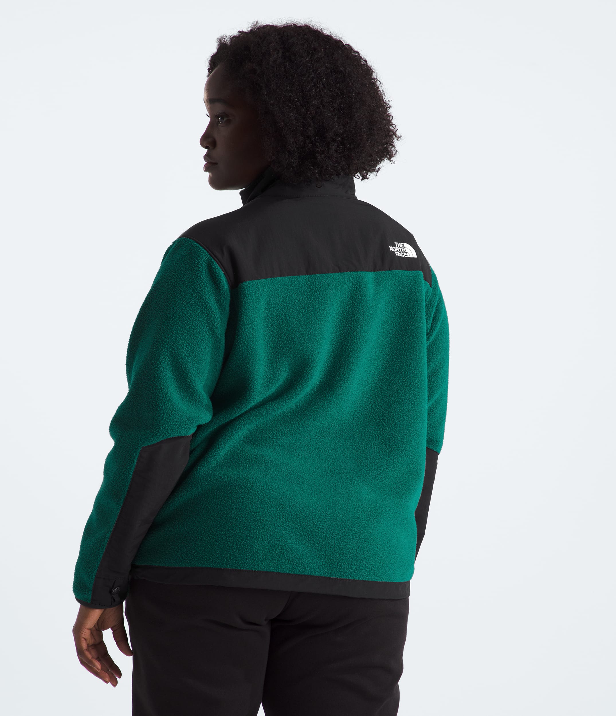 Veste Plus Retro Denali pour femmes TNF BACK