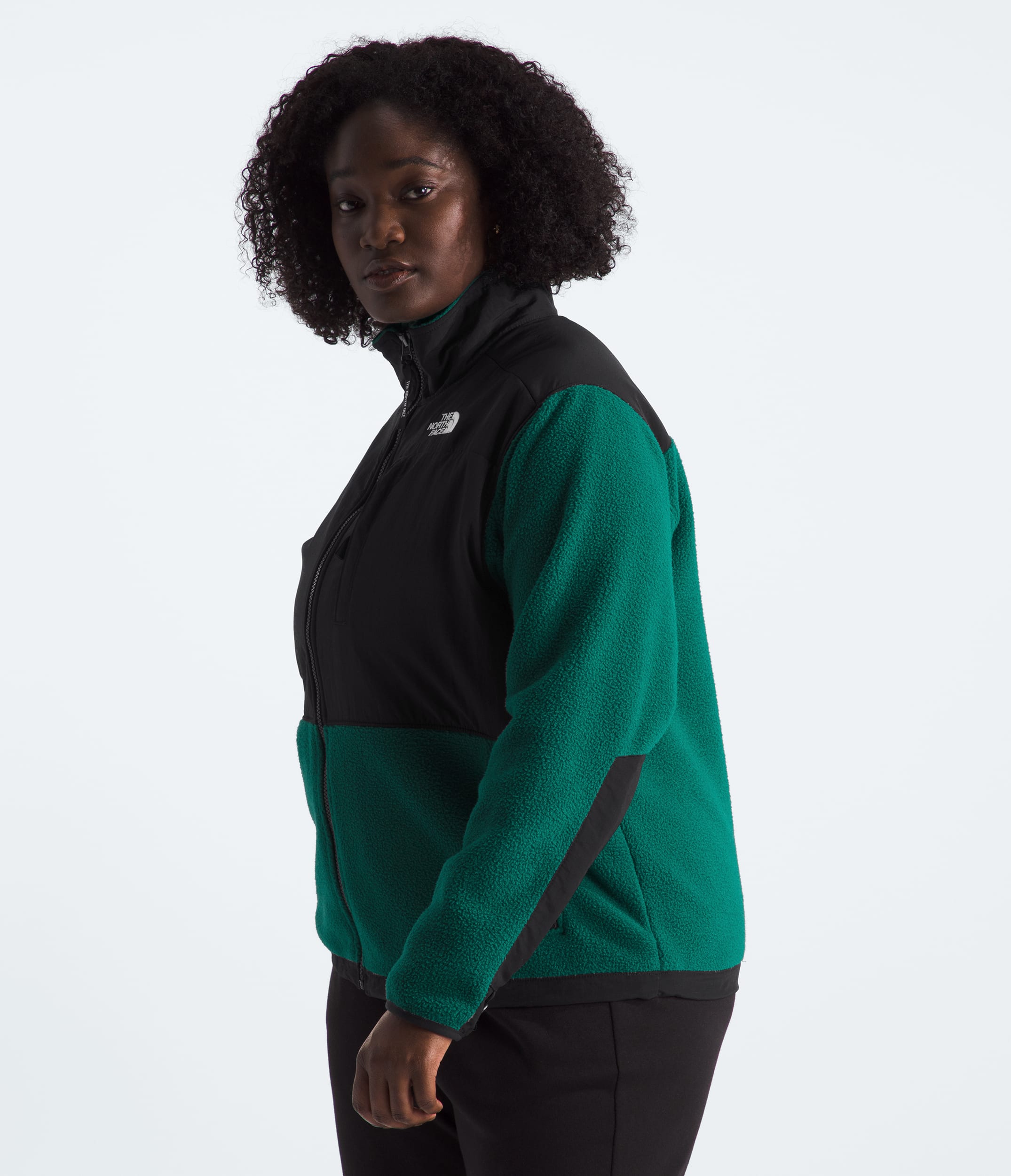 Veste Plus Retro Denali pour femmes TNF MODEL34