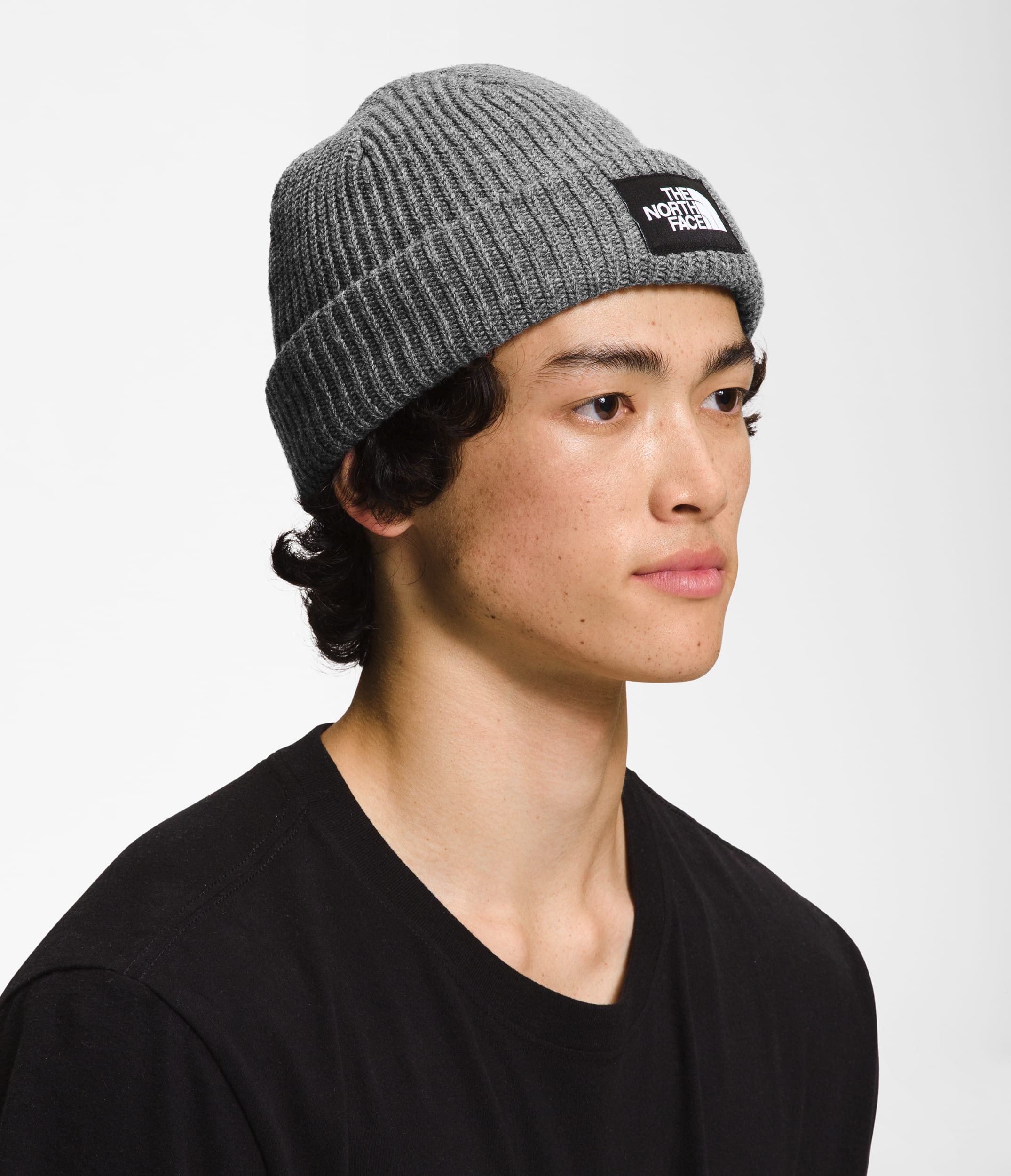 Salty Lined Beanie TNF MODELBACK