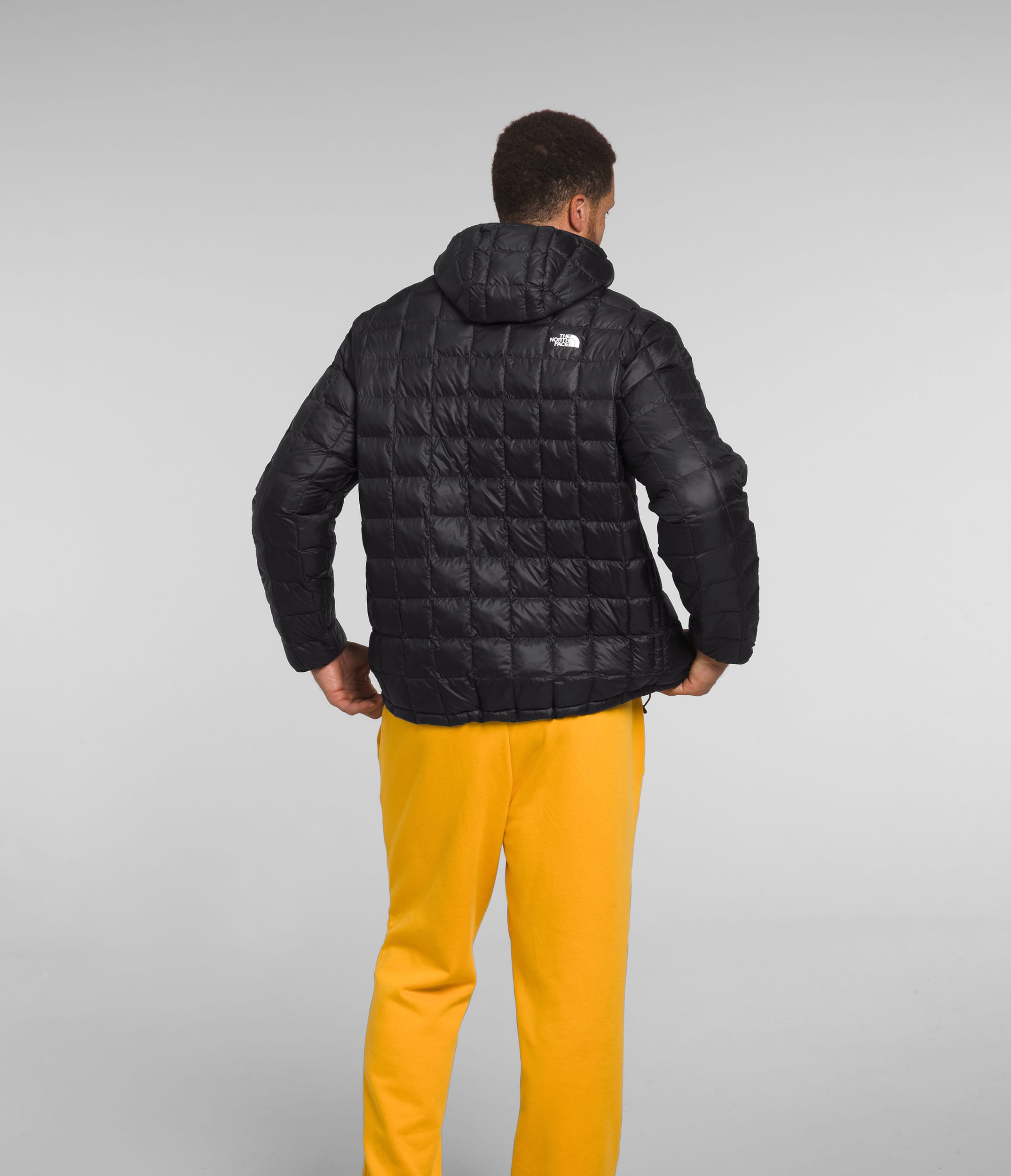 Mens Big ThermoBall Hoodie 20 TNF BACK