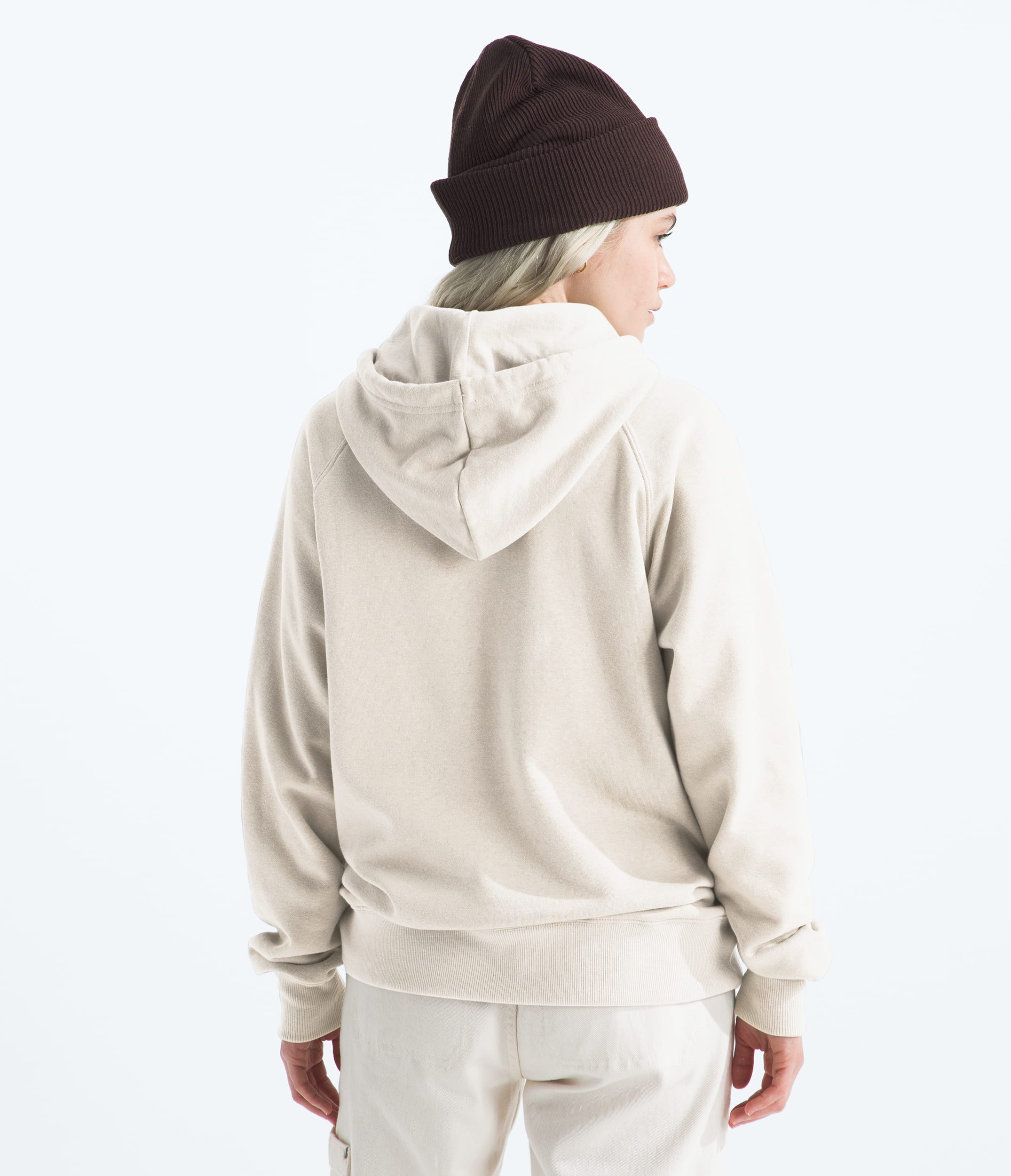 Womens Fine Alpine Hoodie TNF BACK