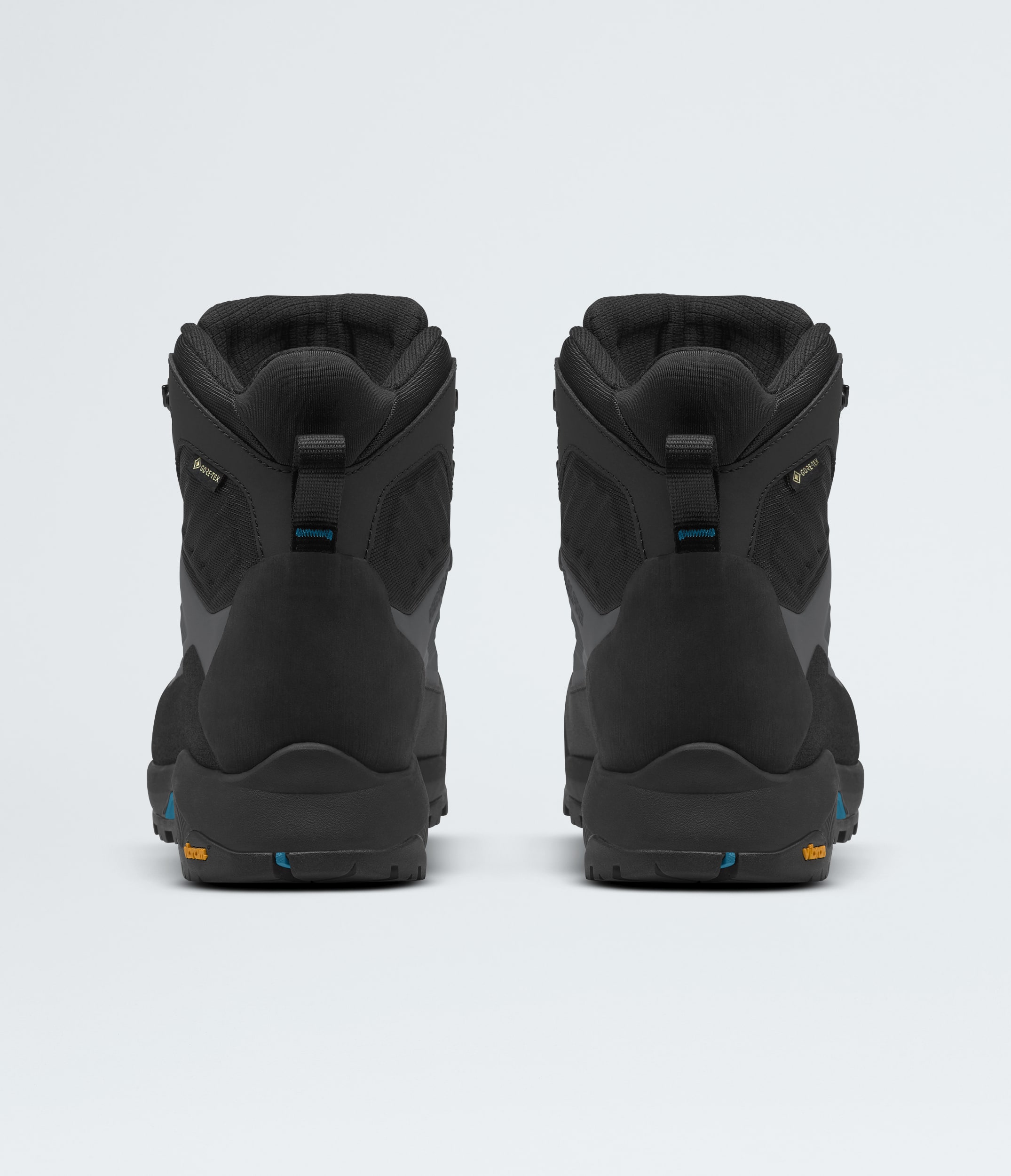 Mens Verto Alpine Mid GORETEX Boots TNF BACK