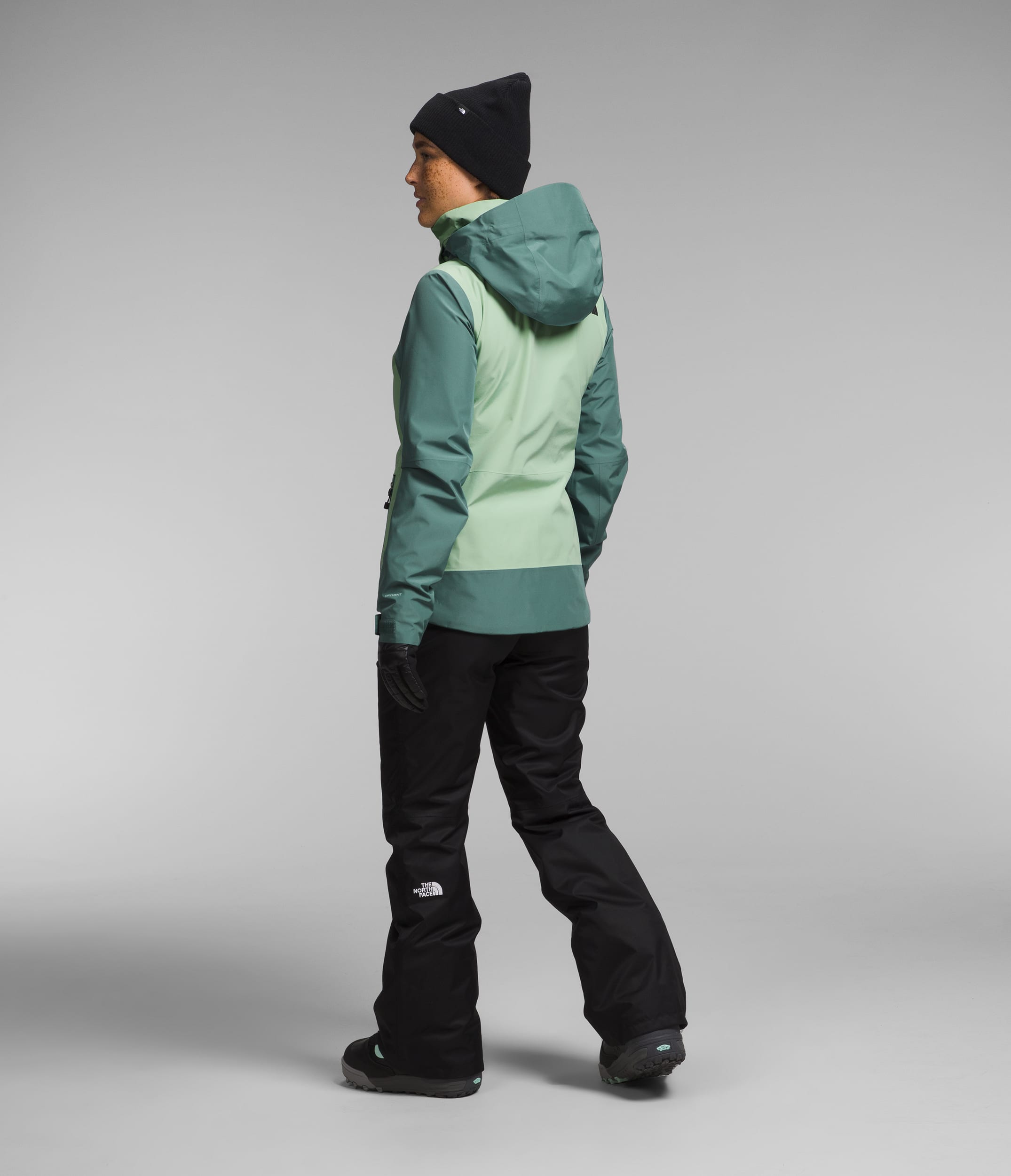 Womens Garner Triclimate Jacket TNF BACK